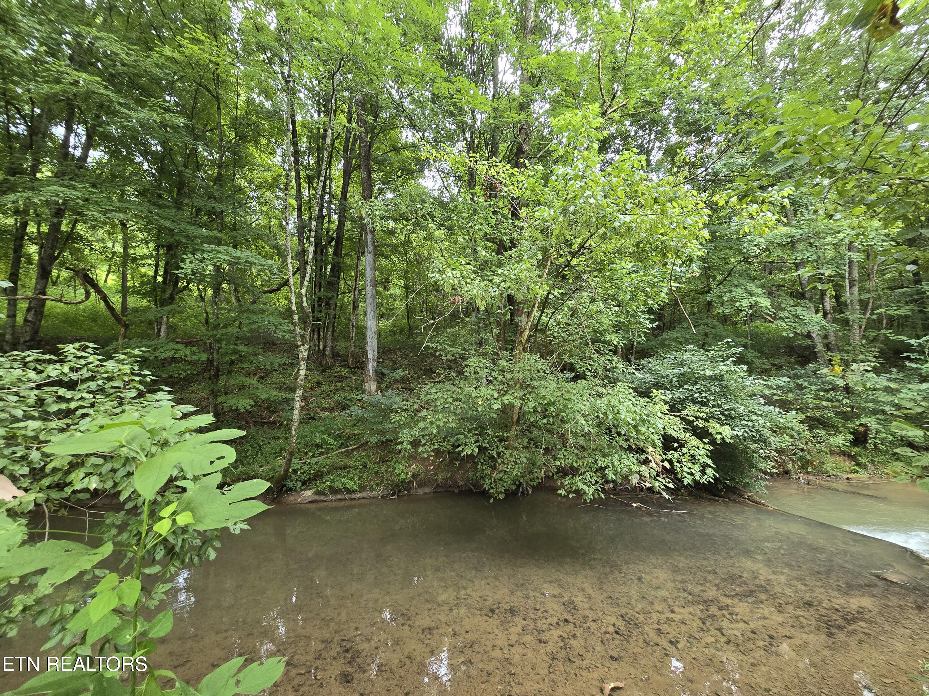 6835 Mulberry Gap Road Sneedville TN 37869