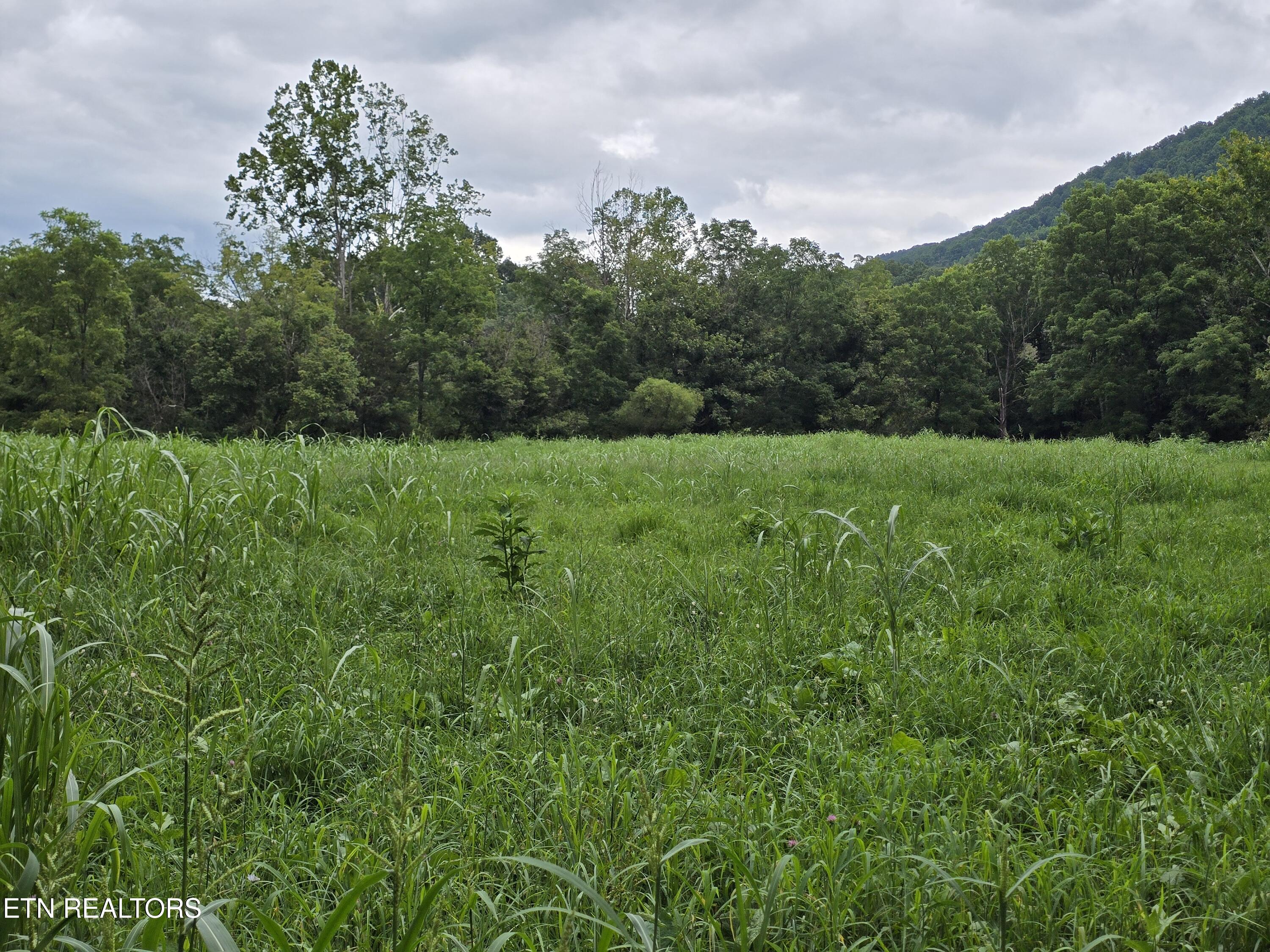 6835 Mulberry Gap Road Sneedville TN 37869