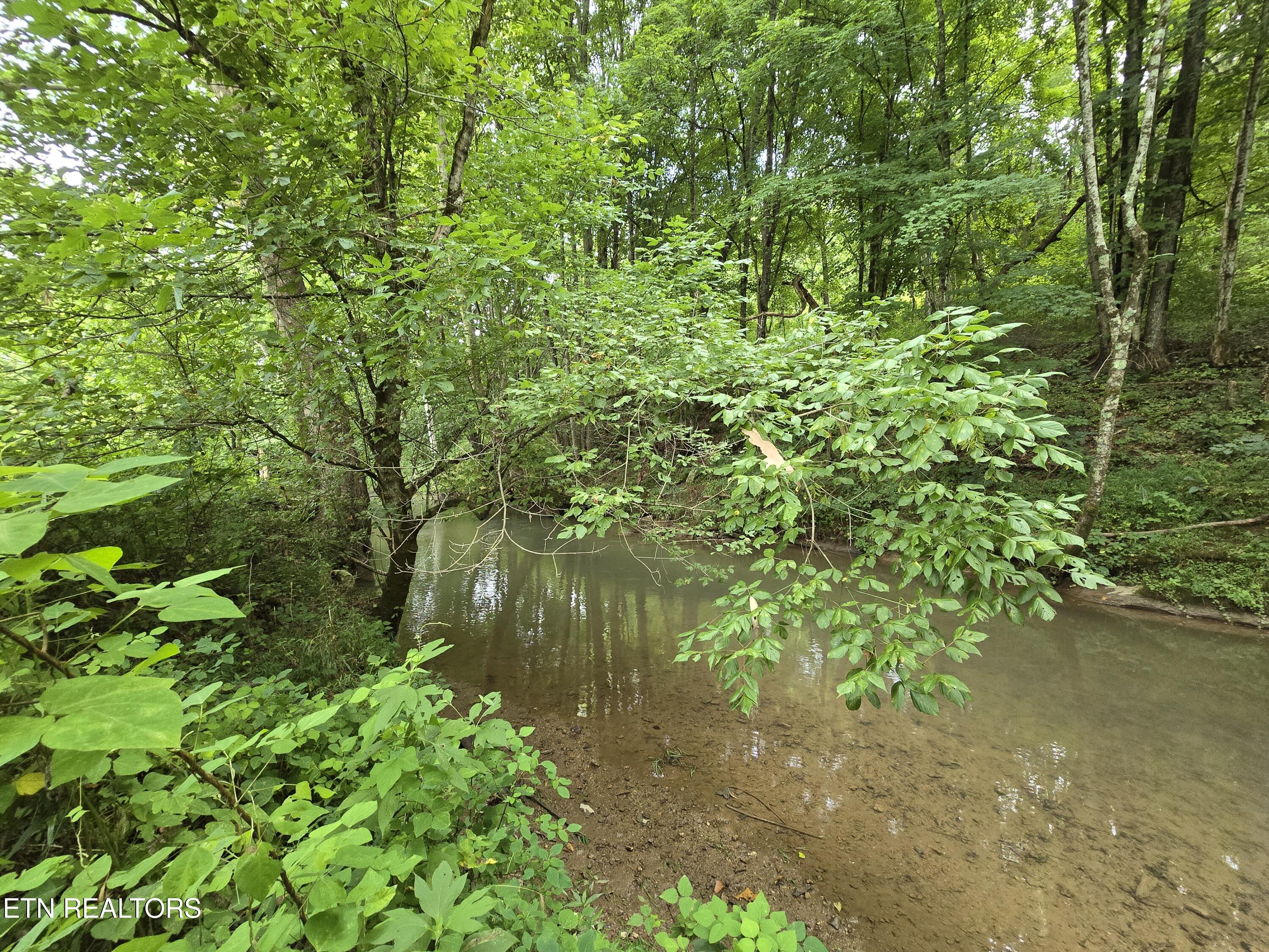 6835 Mulberry Gap Road Sneedville TN 37869