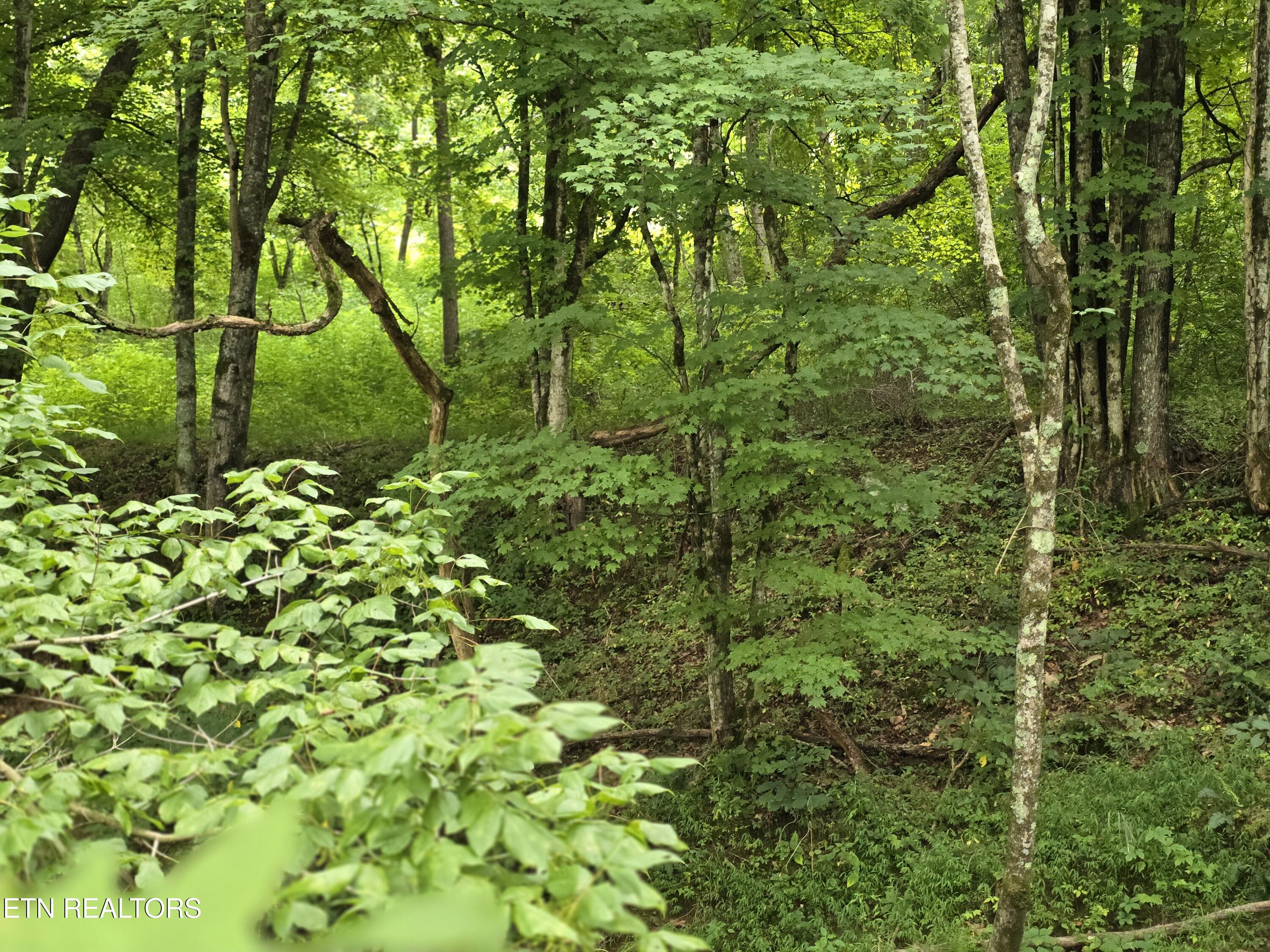 6835 Mulberry Gap Road Sneedville TN 37869