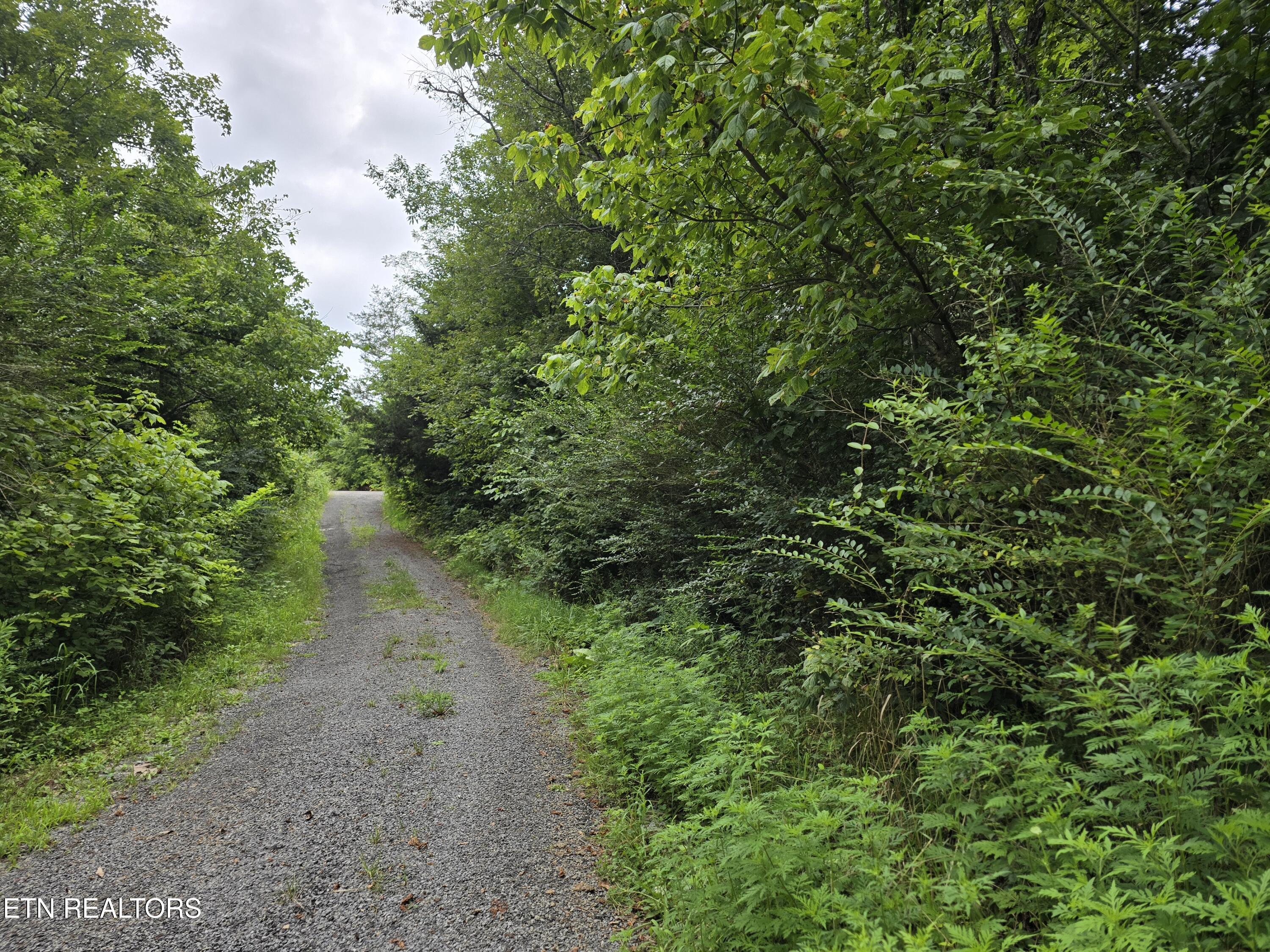 6835 Mulberry Gap Road Sneedville TN 37869