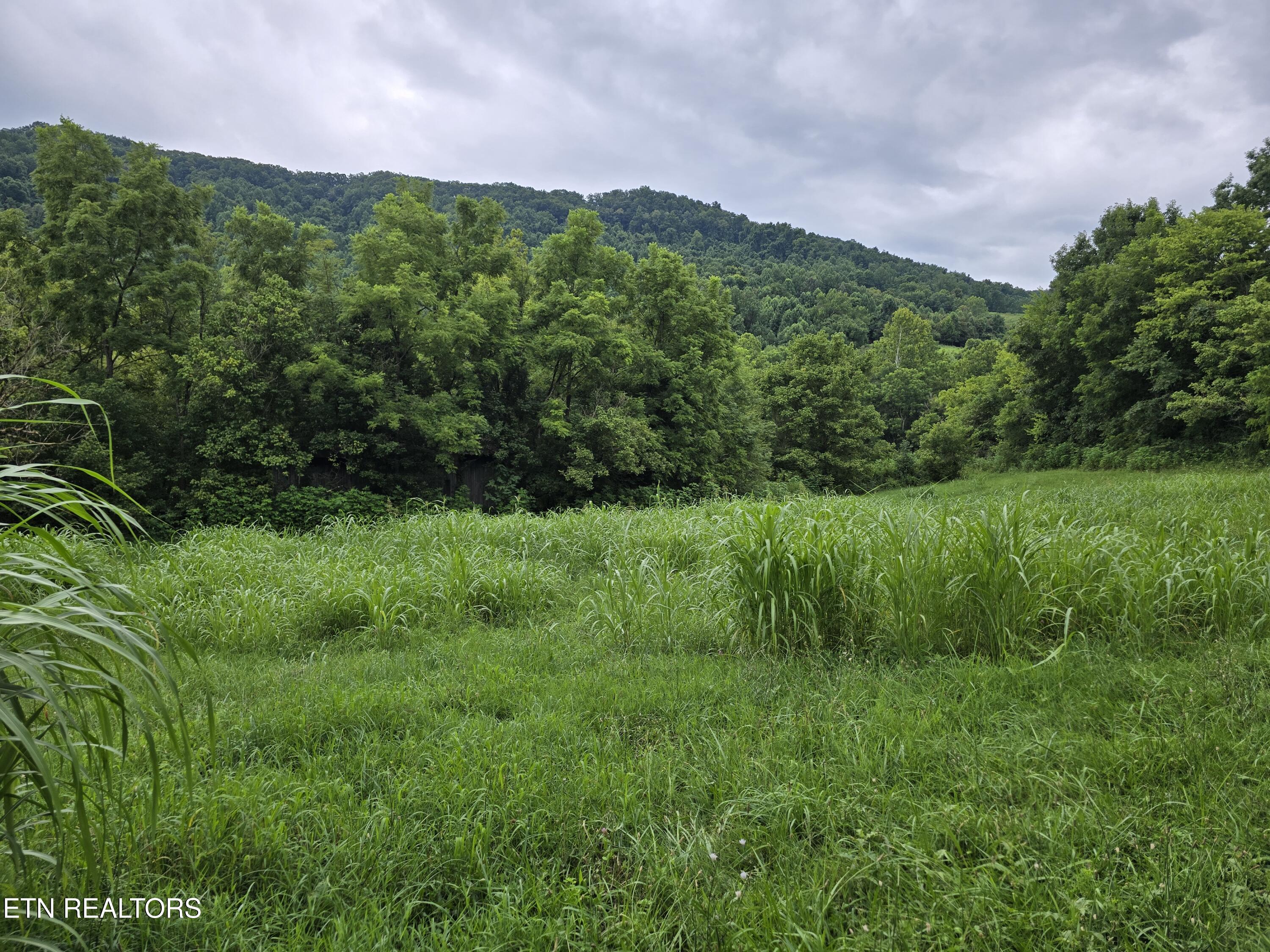 6835 Mulberry Gap Road Sneedville TN 37869