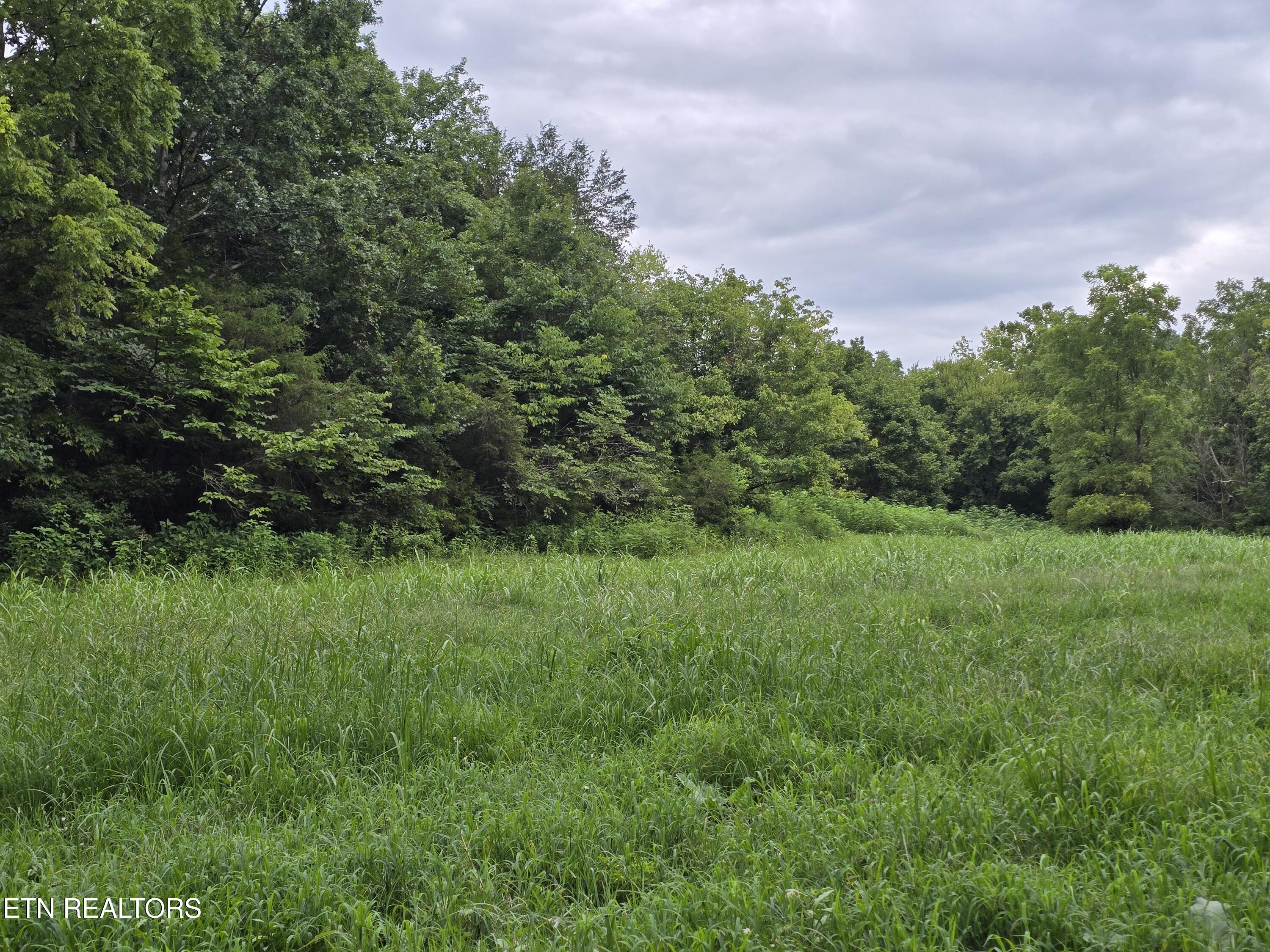 6835 Mulberry Gap Road Sneedville TN 37869