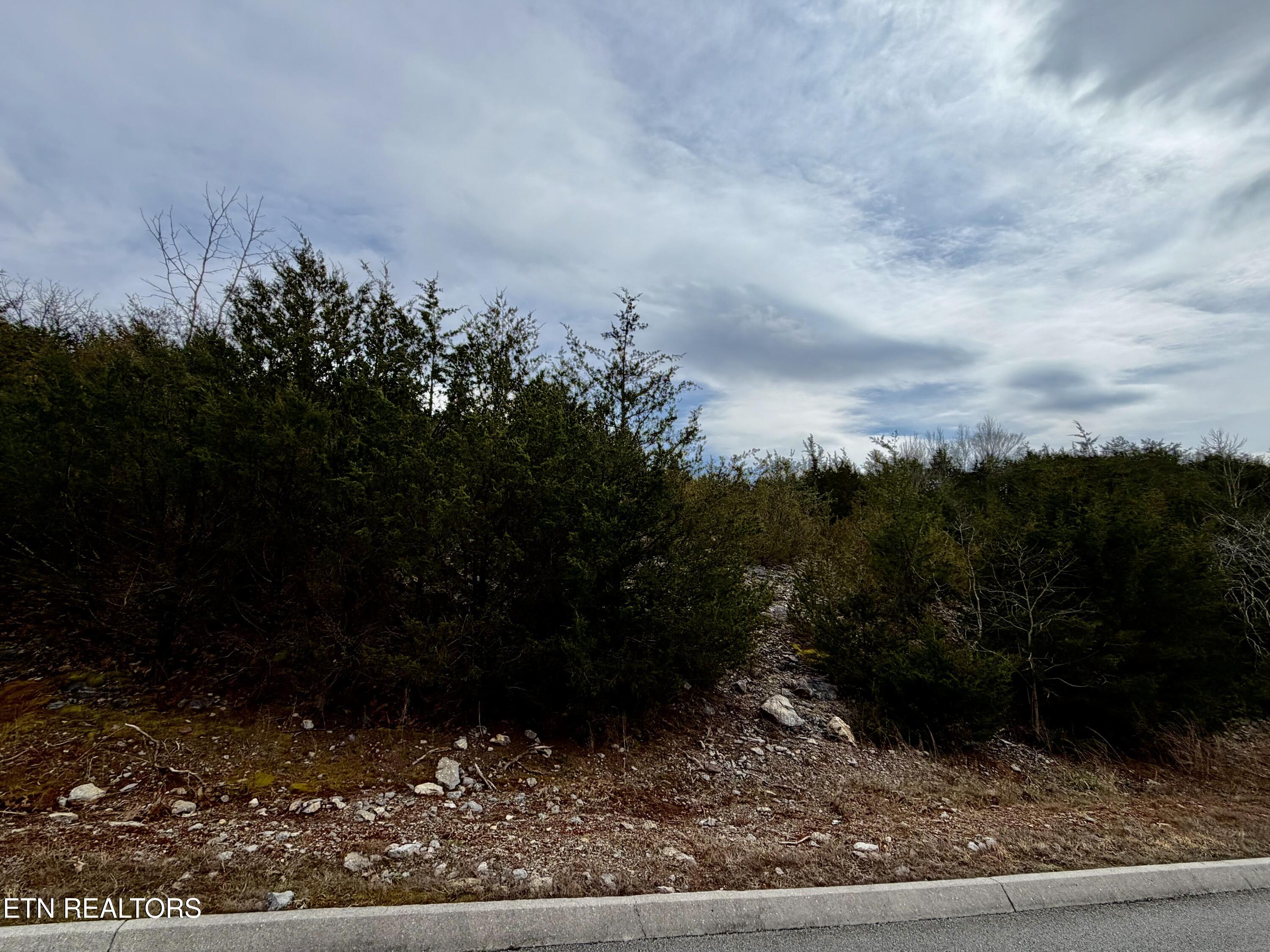 Par Place Tazewell TN 37879
