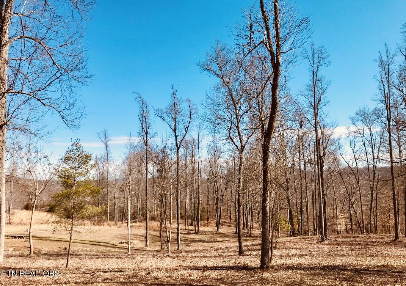 Maynardville TN, Emerald Cove Way