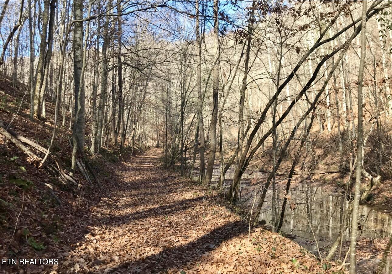 0 Emerald Cove Way Maynardville TN 37807