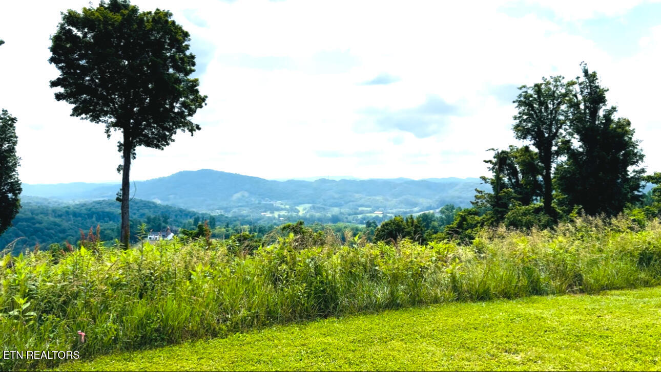 0 Emerald Cove Way Maynardville TN 37807