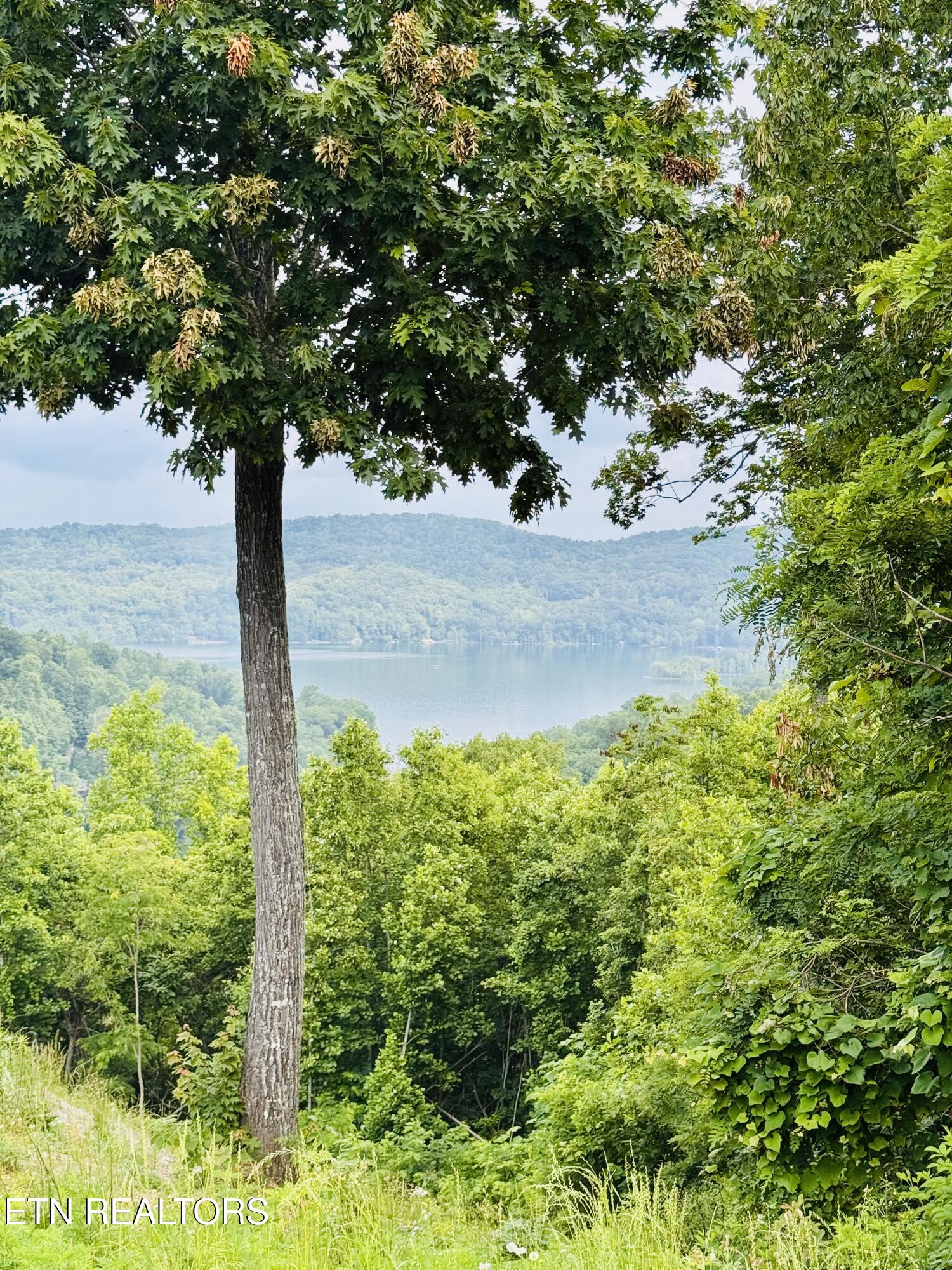 0 Emerald Cove Way Maynardville TN 37807