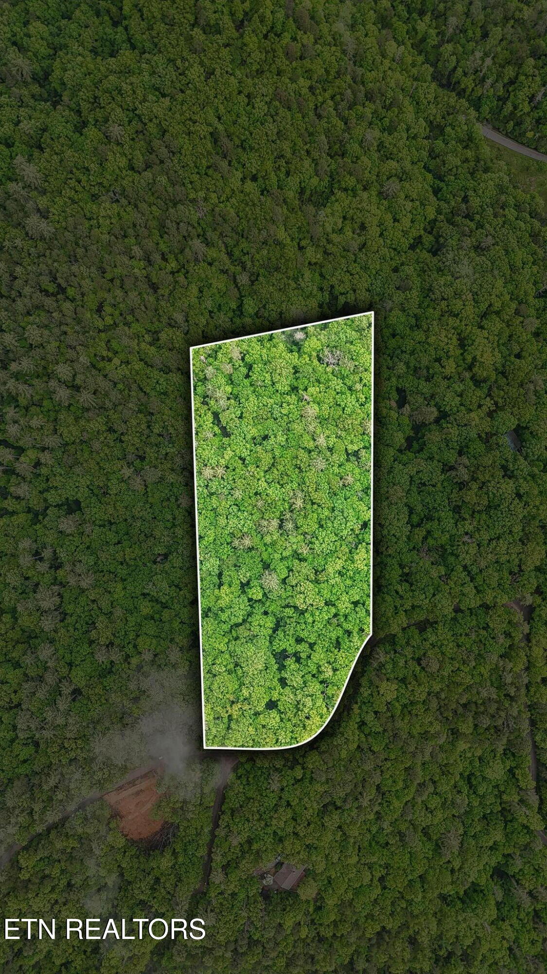 1852 Oakwood Road Walland TN 37886