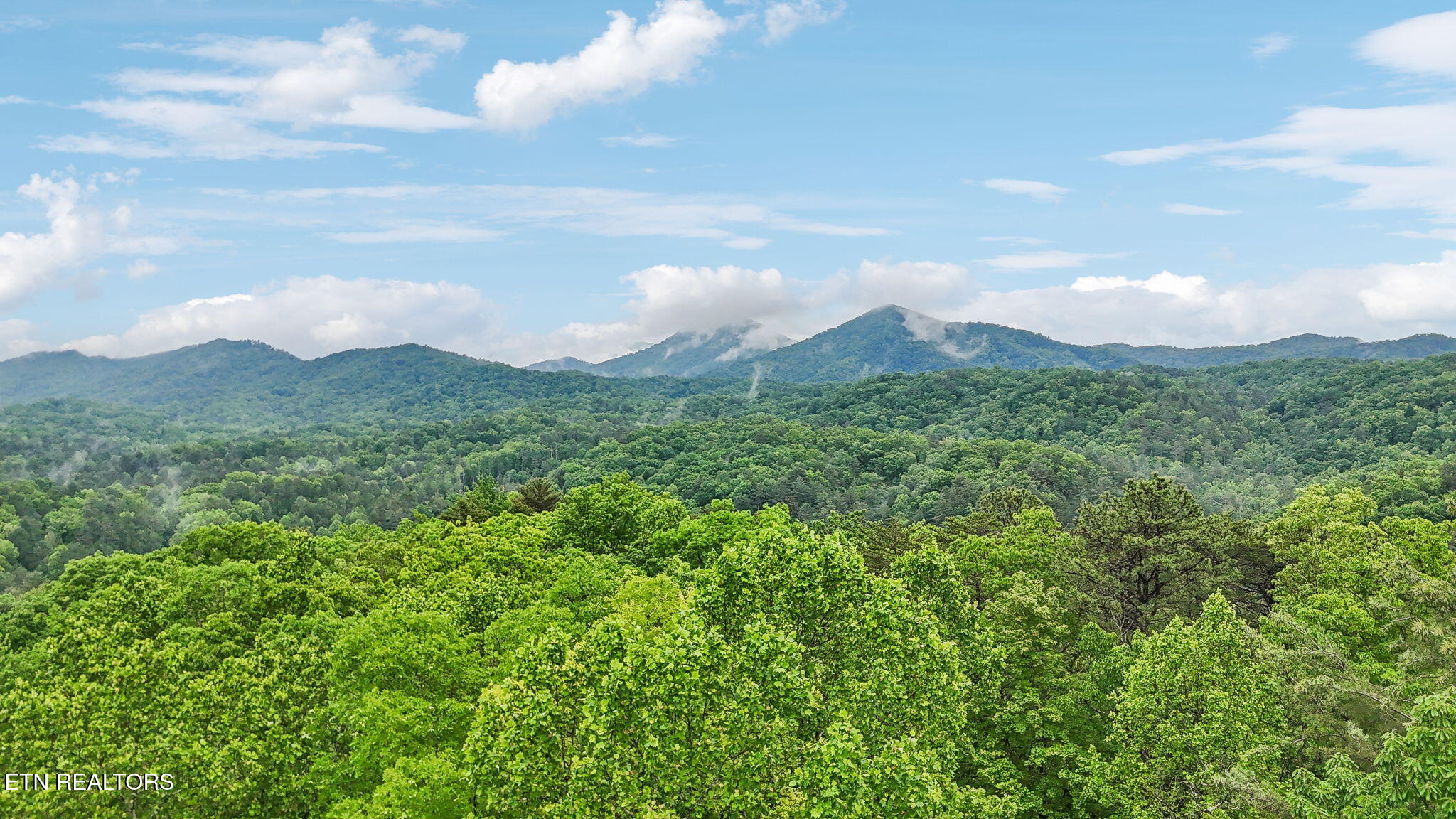 1852 Oakwood Road Walland TN 37886