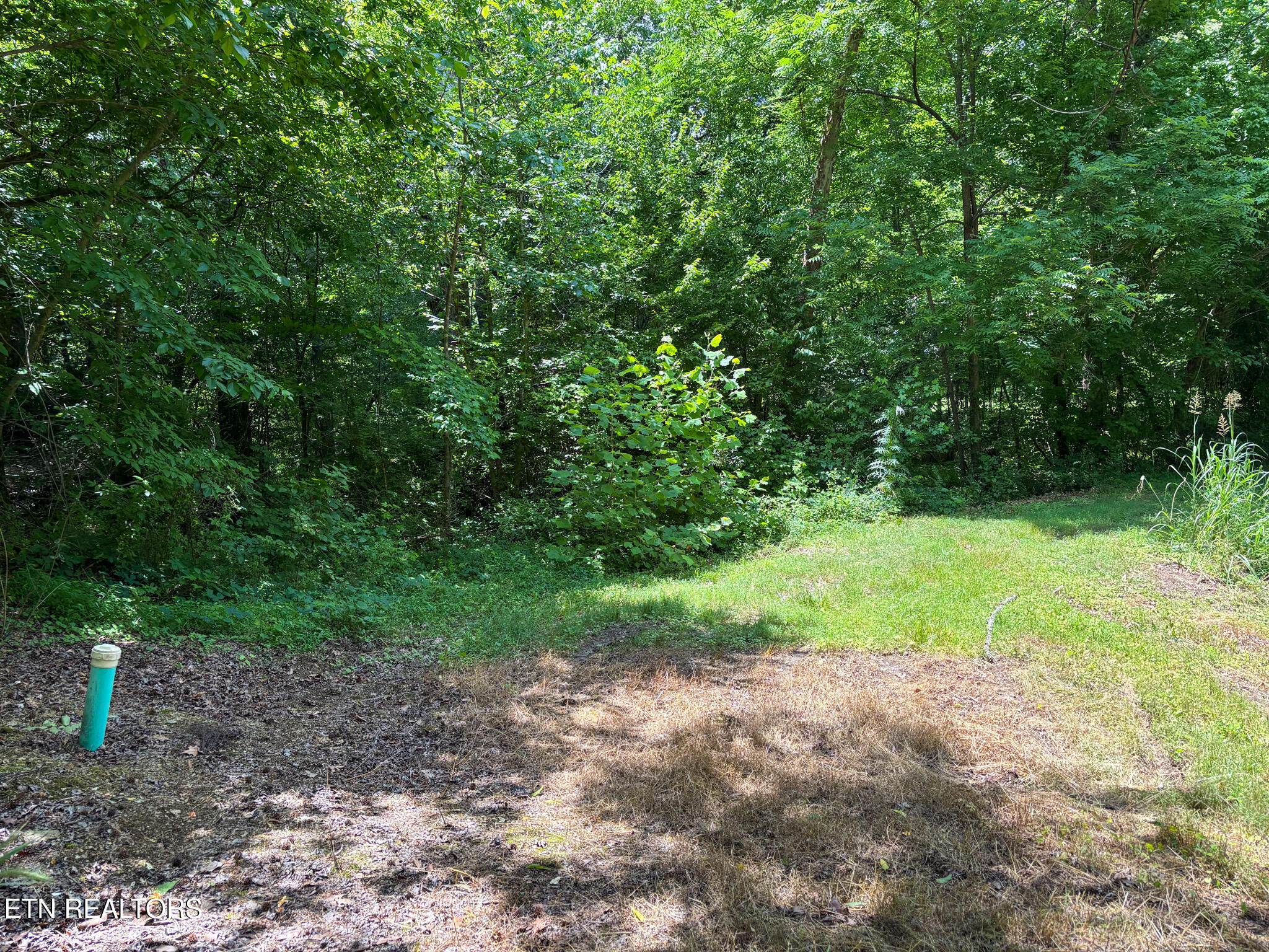 119 Carey Street Vonore TN 37885
