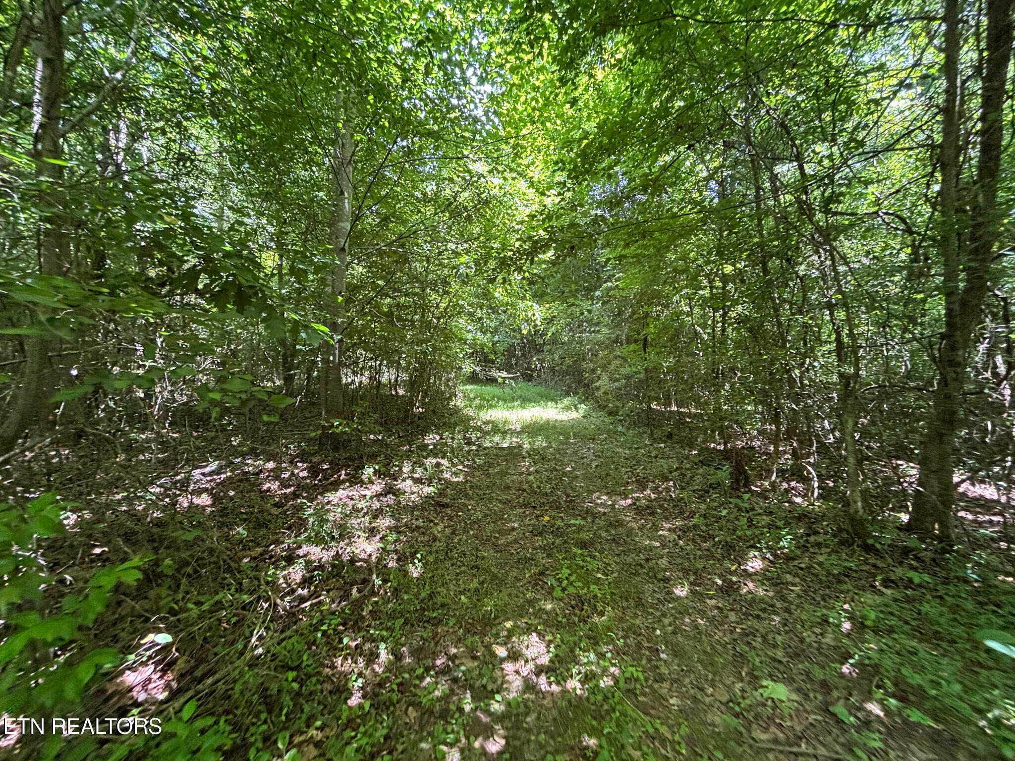 119 Carey Street Vonore TN 37885