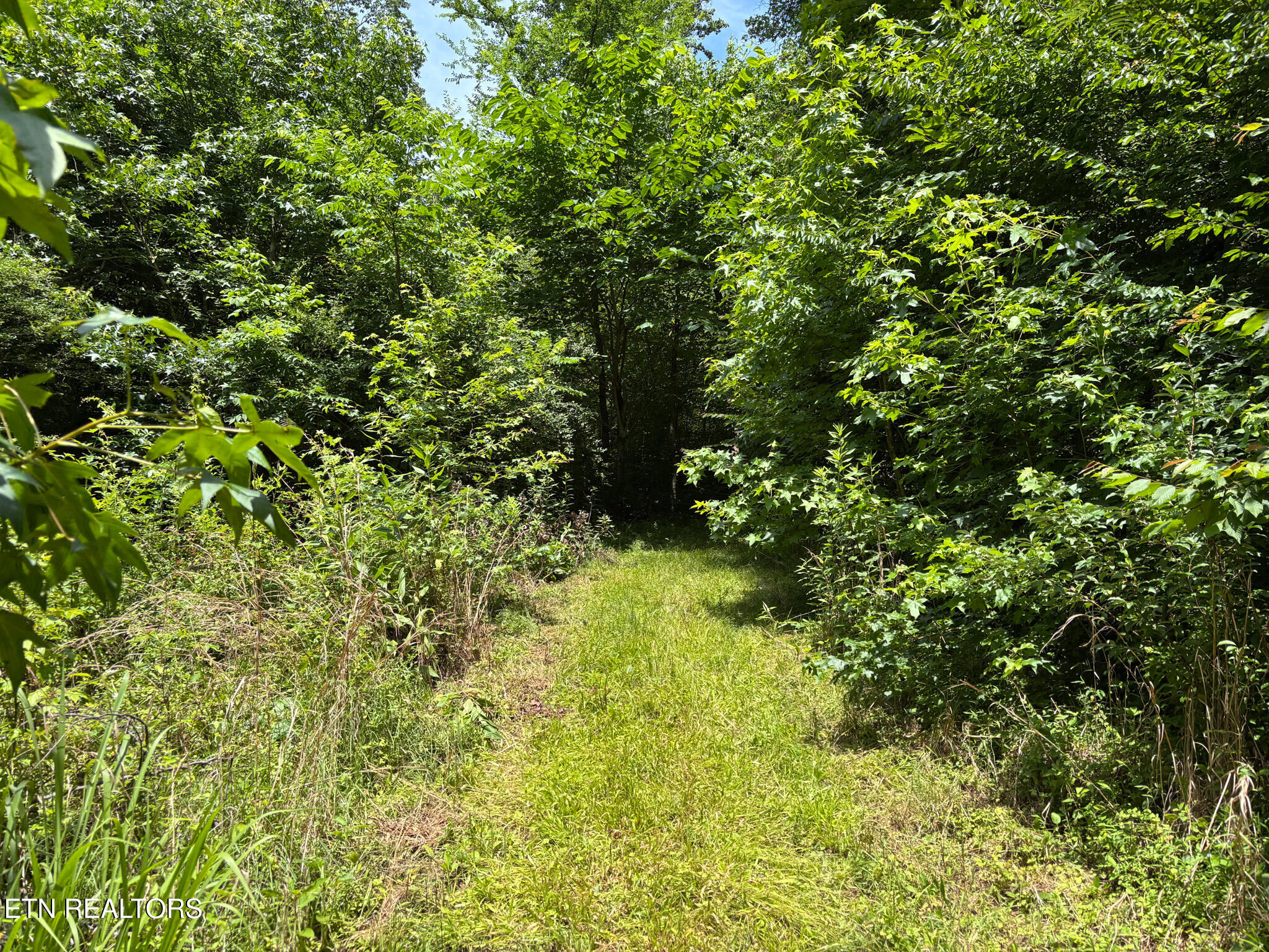 119 Carey Street Vonore TN 37885