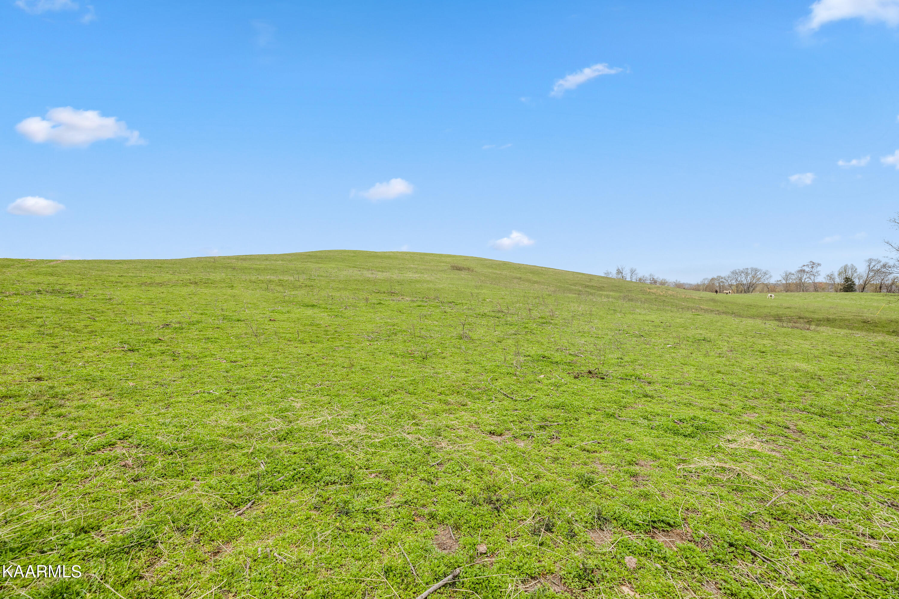 Country Oaks Lane Lafollette TN 37766