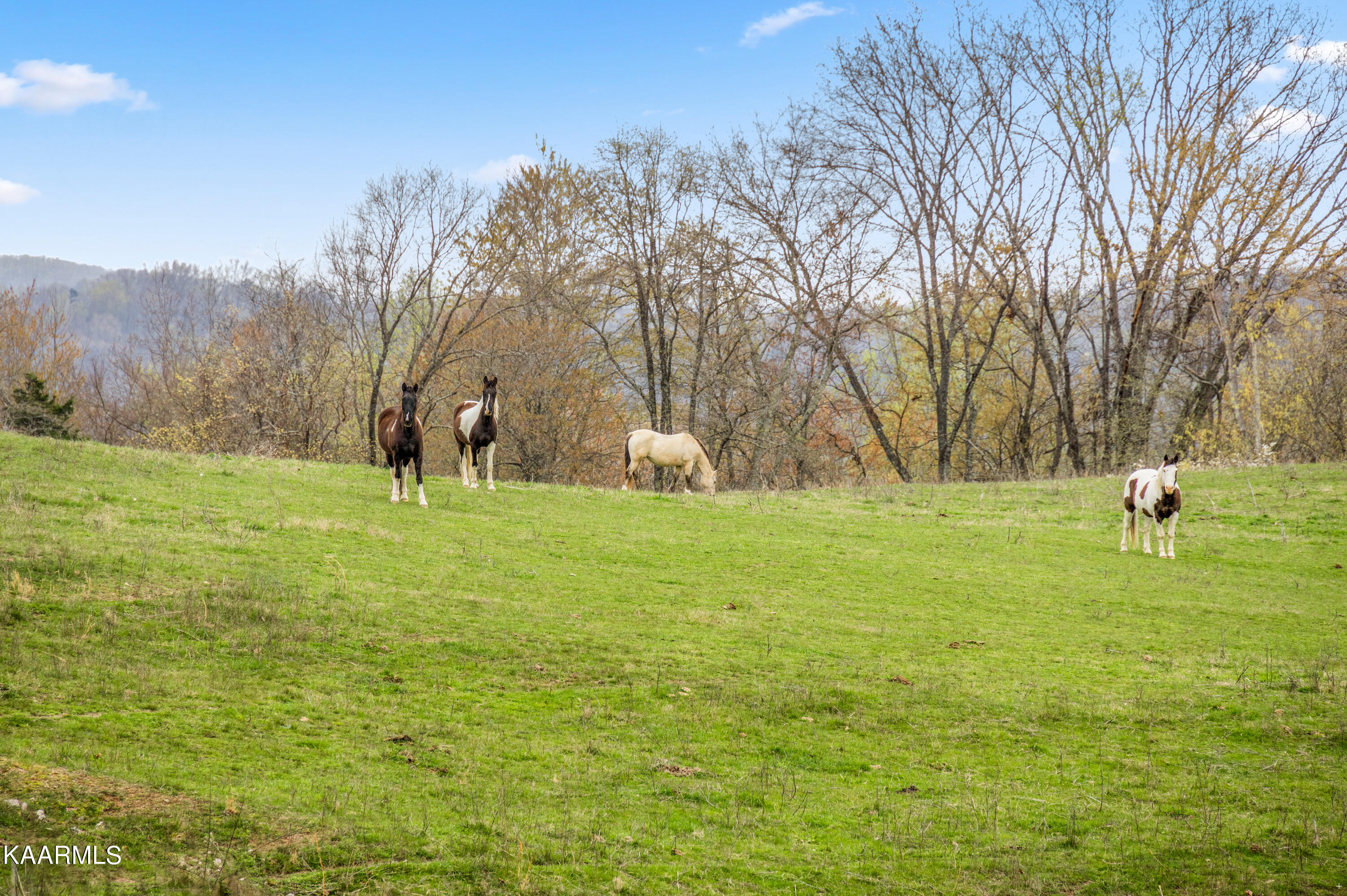 Country Oaks Lane Lafollette TN 37766