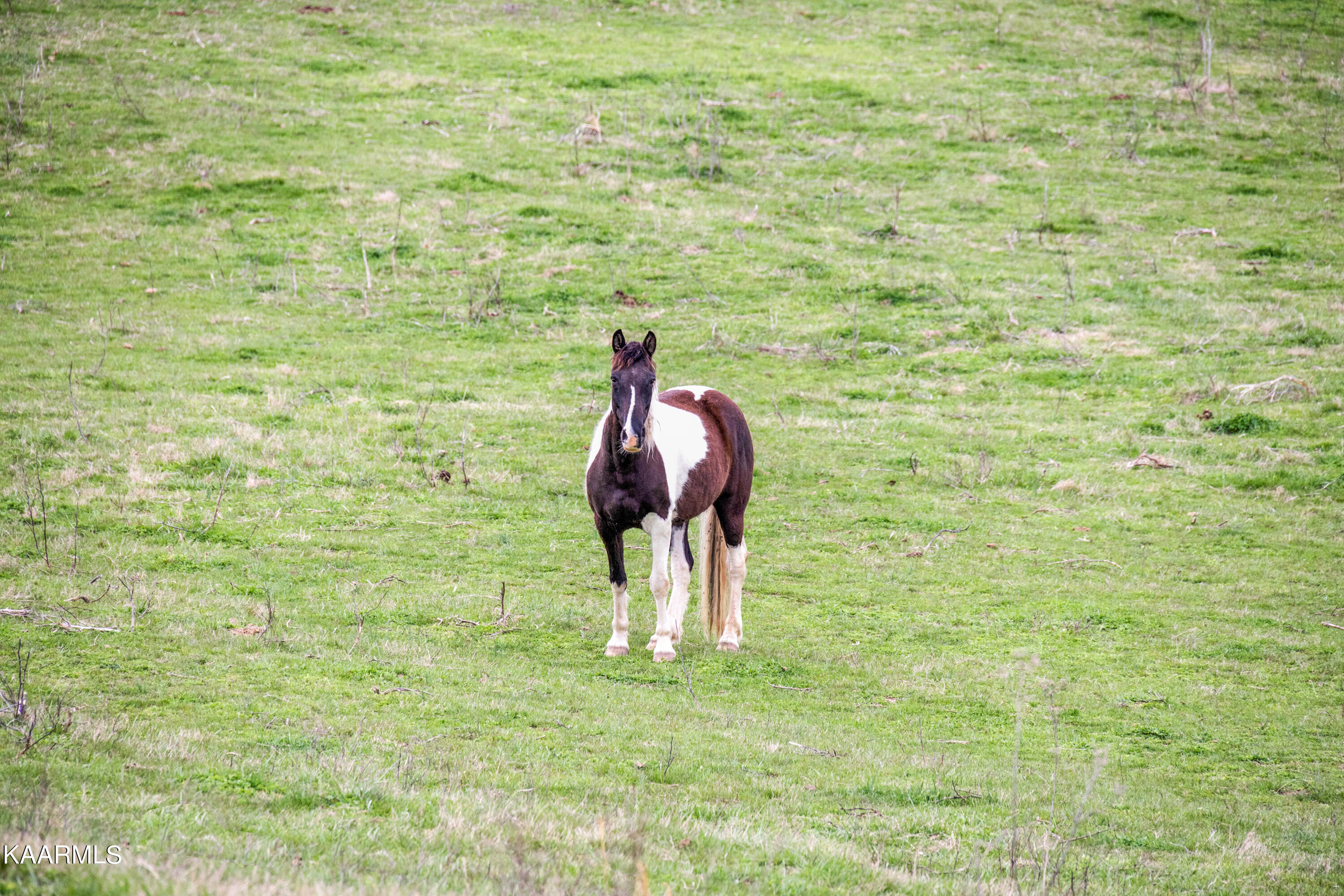 Country Oaks Lane Lafollette TN 37766