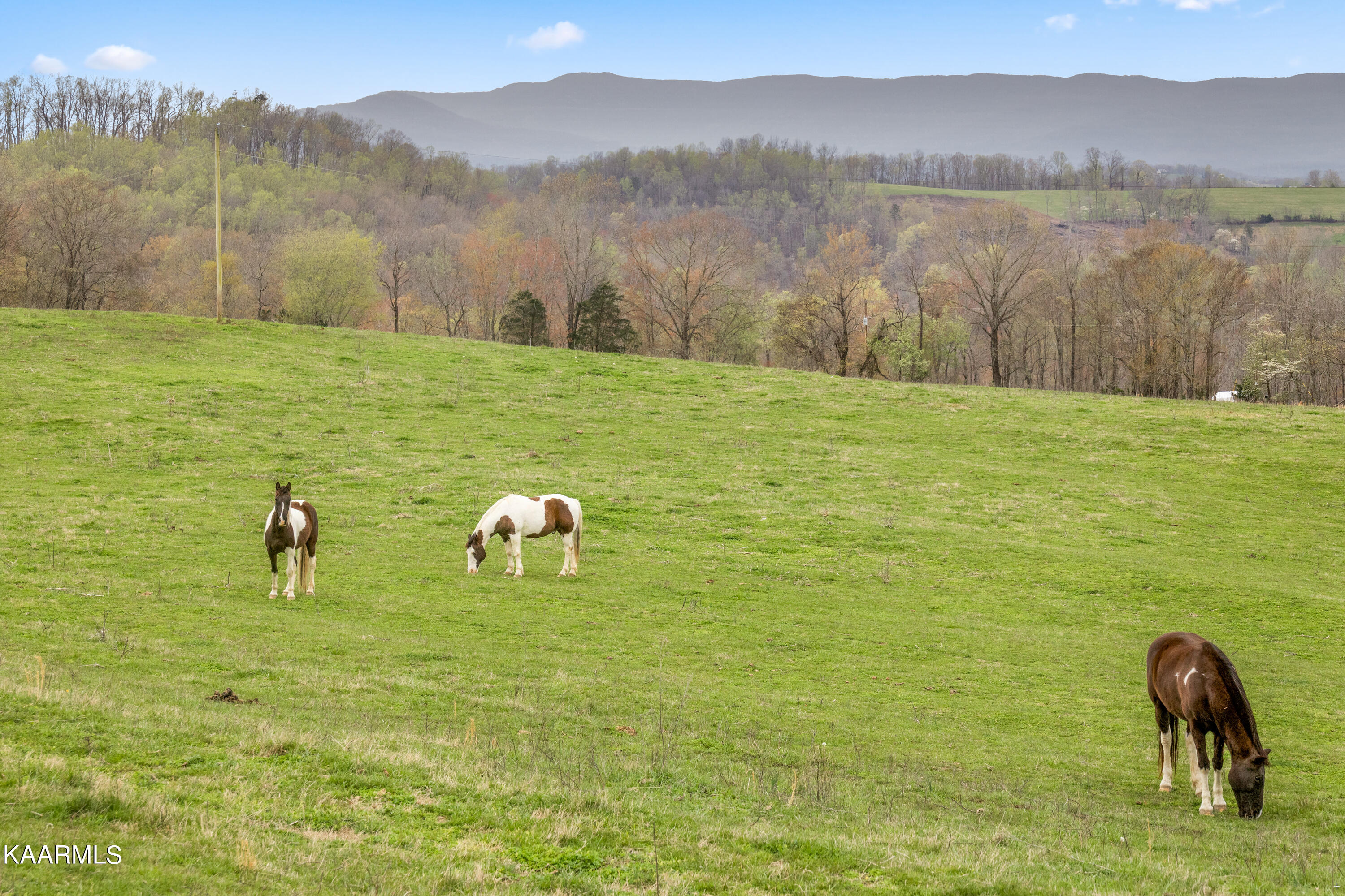 Country Oaks Lane Lafollette TN 37766