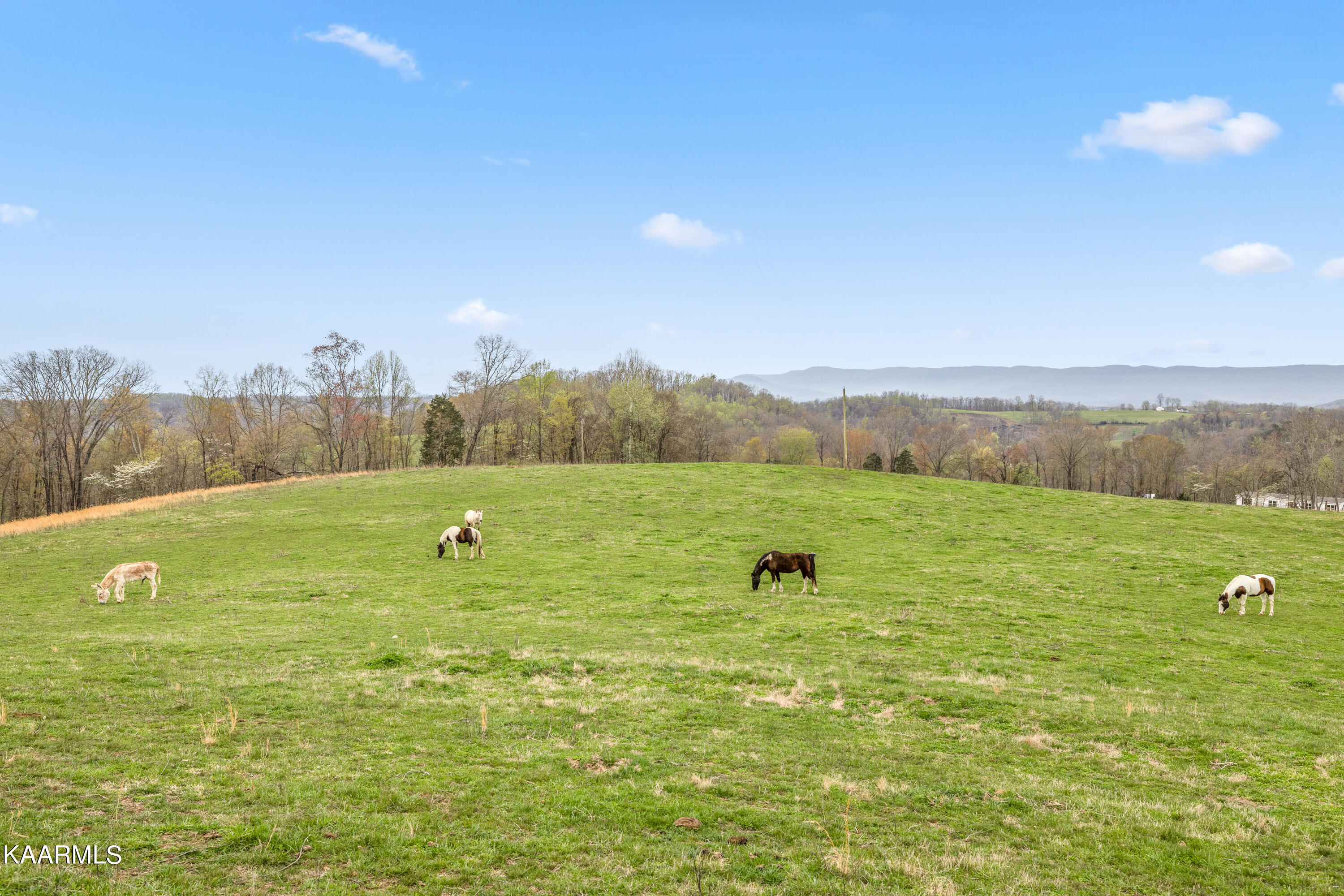Country Oaks Lane Lafollette TN 37766