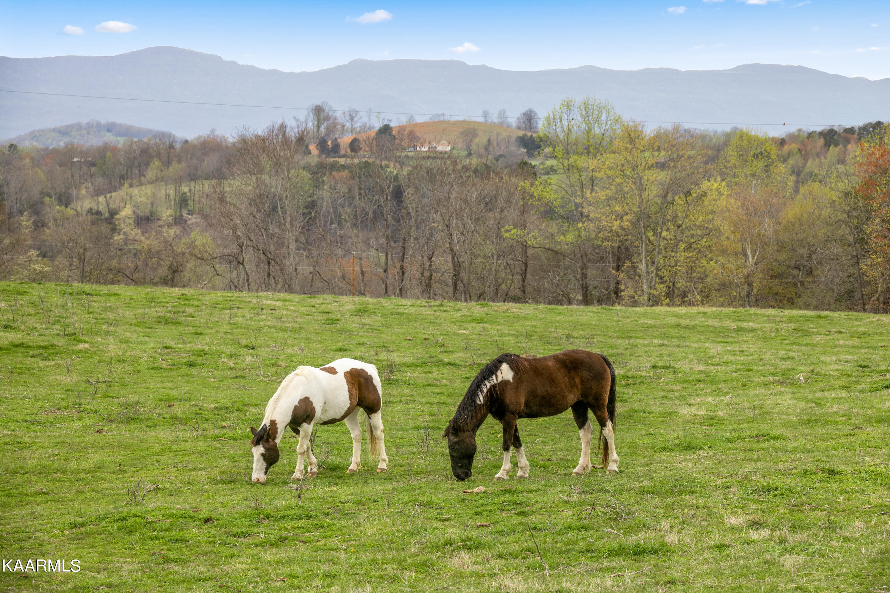 Country Oaks Lane Lafollette TN 37766