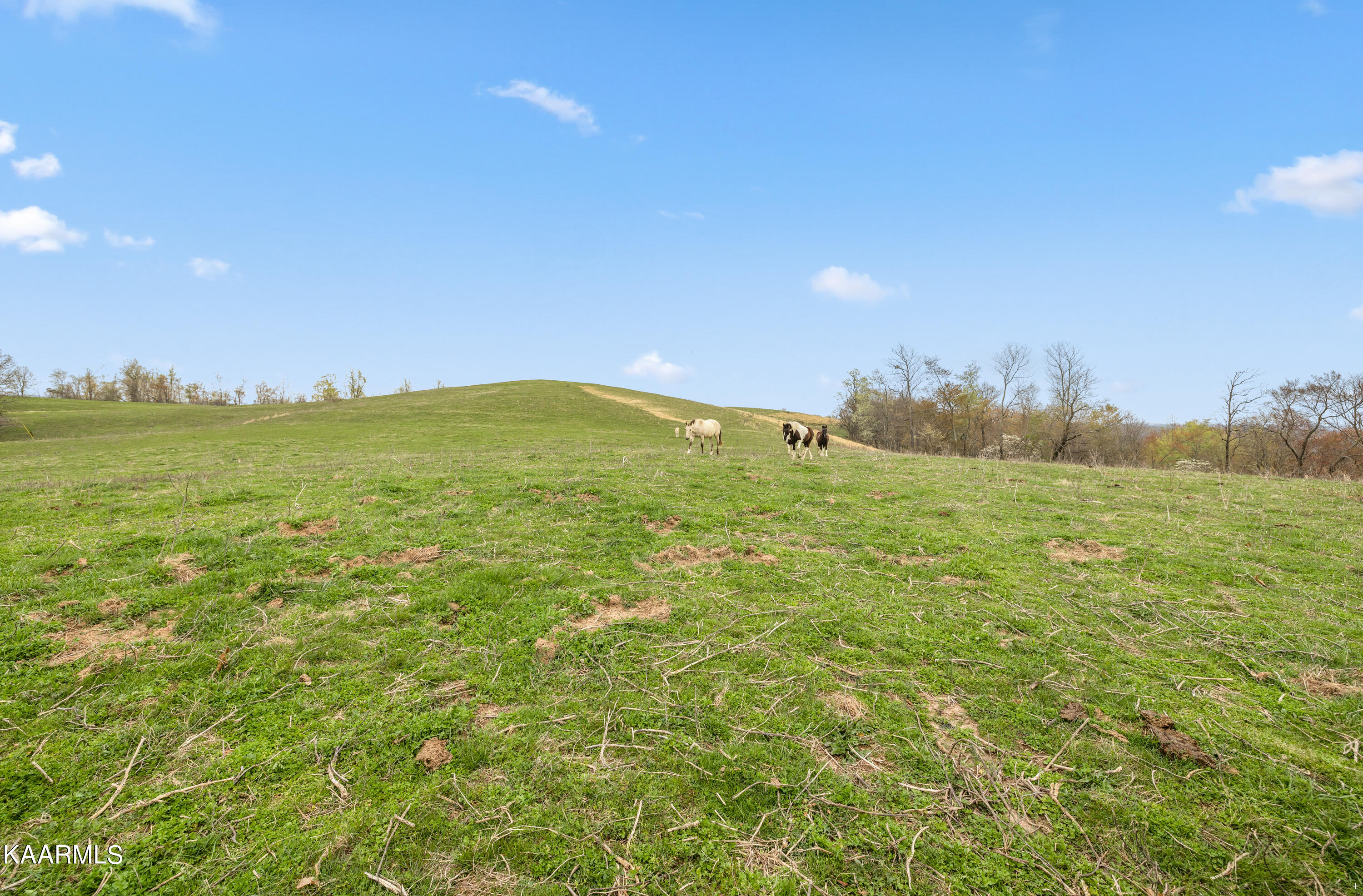 Country Oaks Lane Lafollette TN 37766
