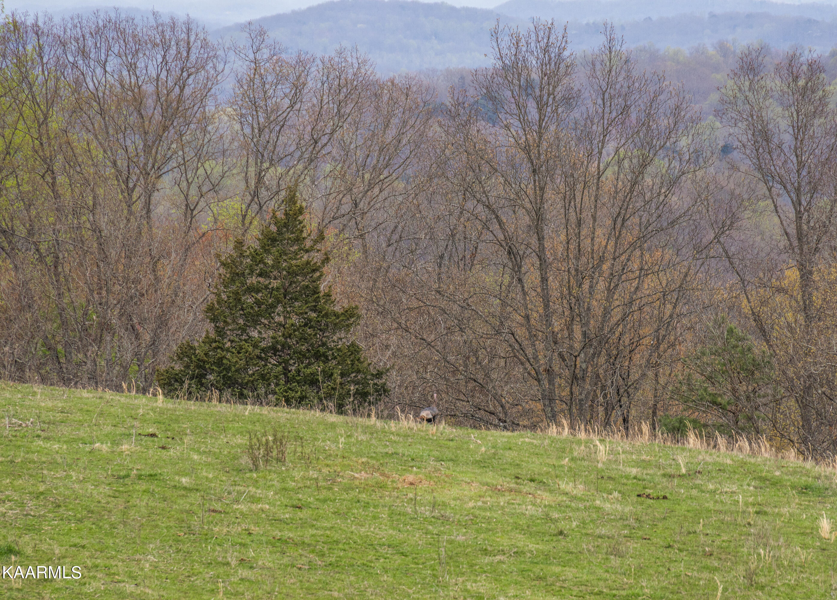Country Oaks Lane Lafollette TN 37766