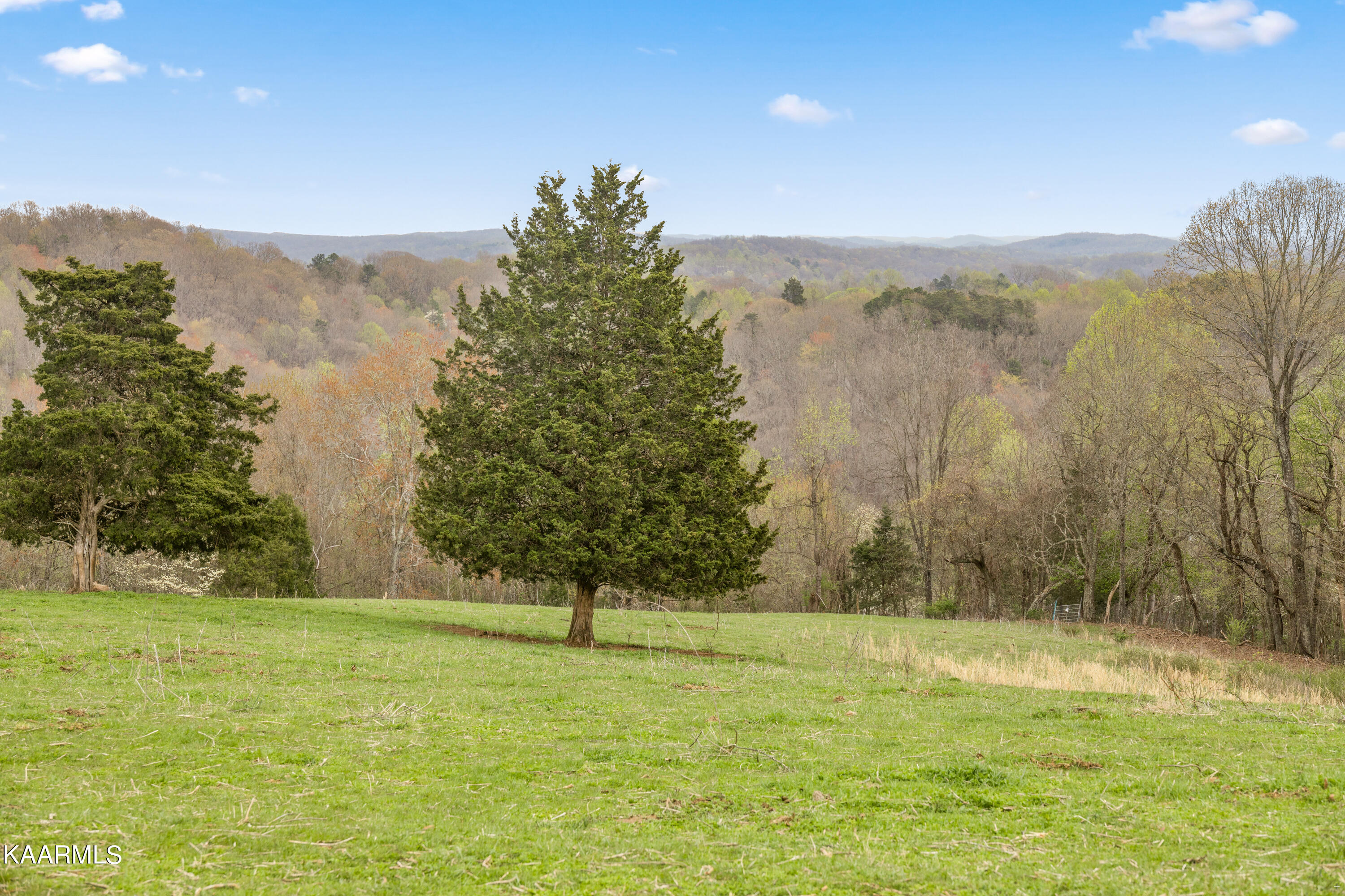 Country Oaks Lane Lafollette TN 37766