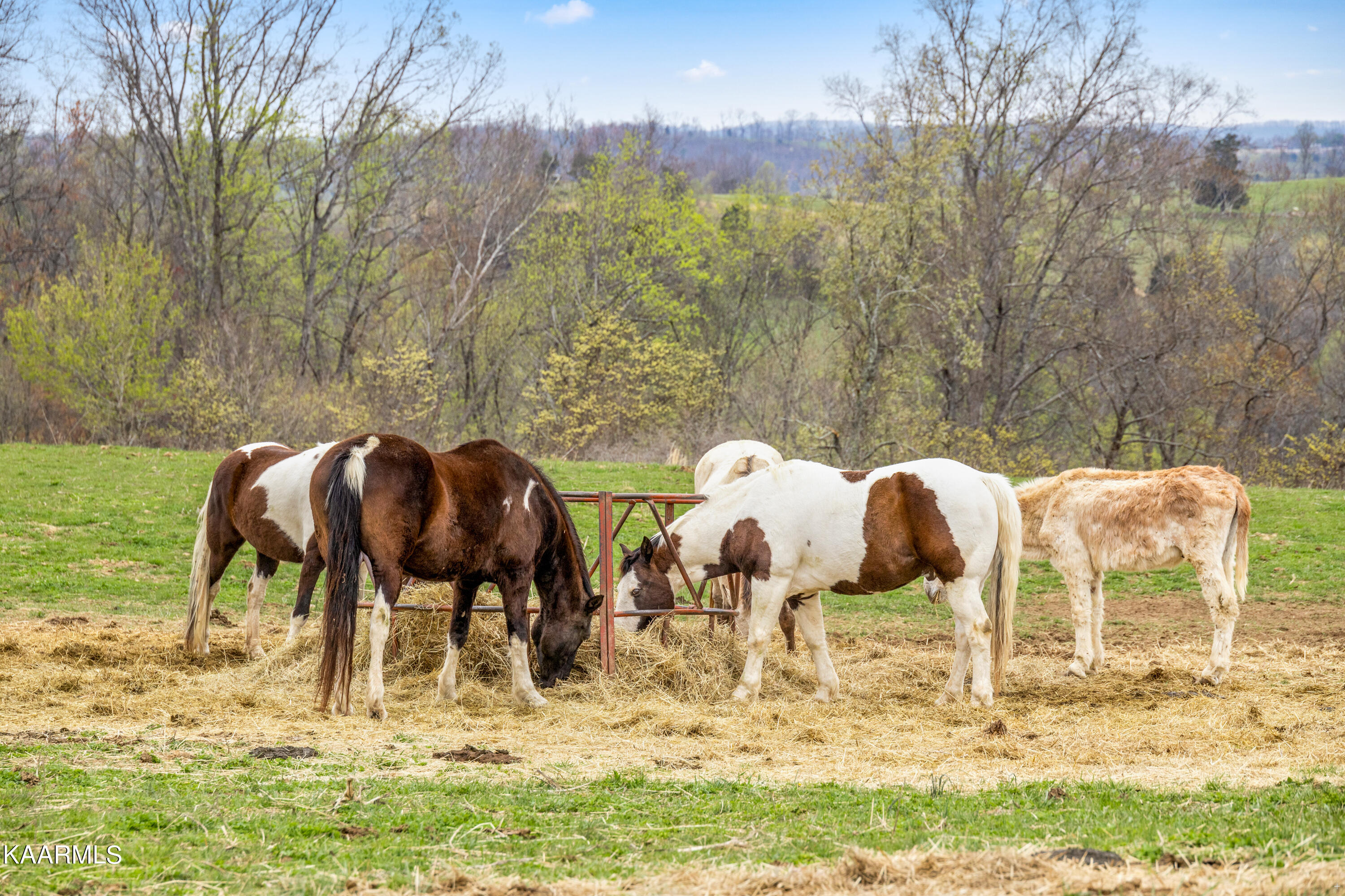 Country Oaks Lane Lafollette TN 37766
