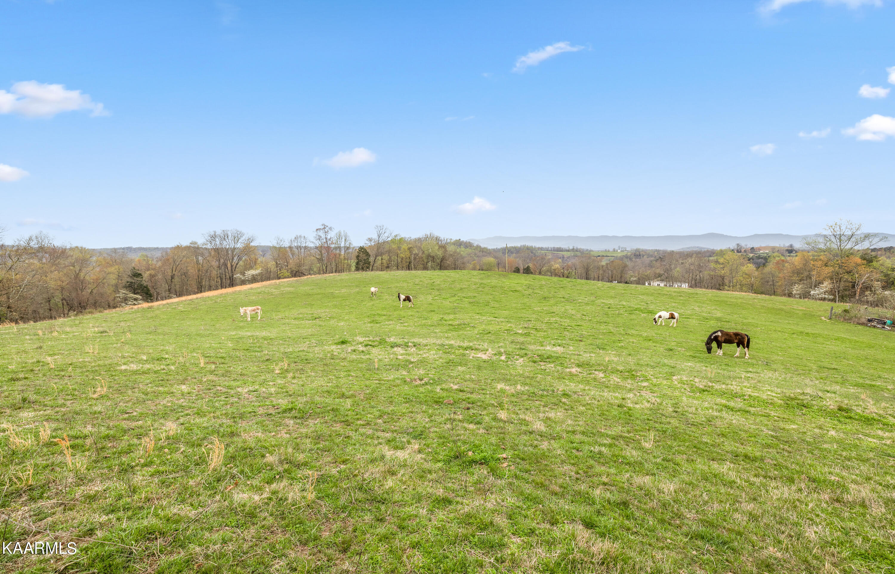 Country Oaks Lane Lafollette TN 37766