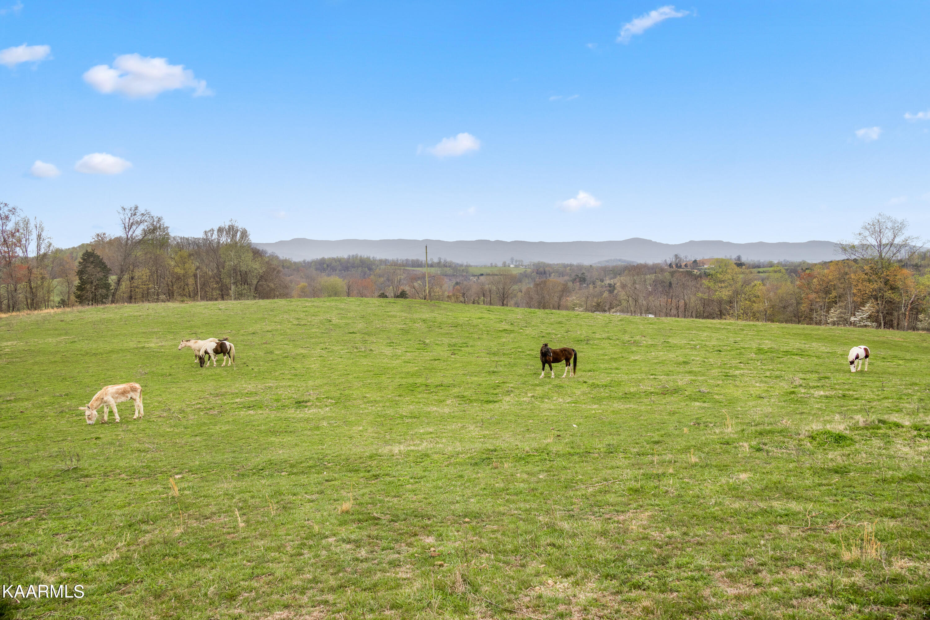 Country Oaks Lane Lafollette TN 37766