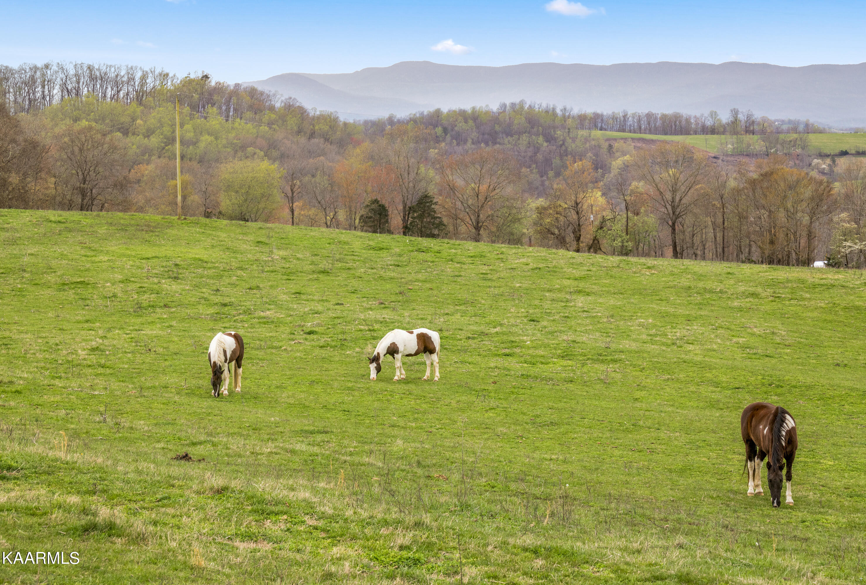 Country Oaks Lane Lafollette TN 37766