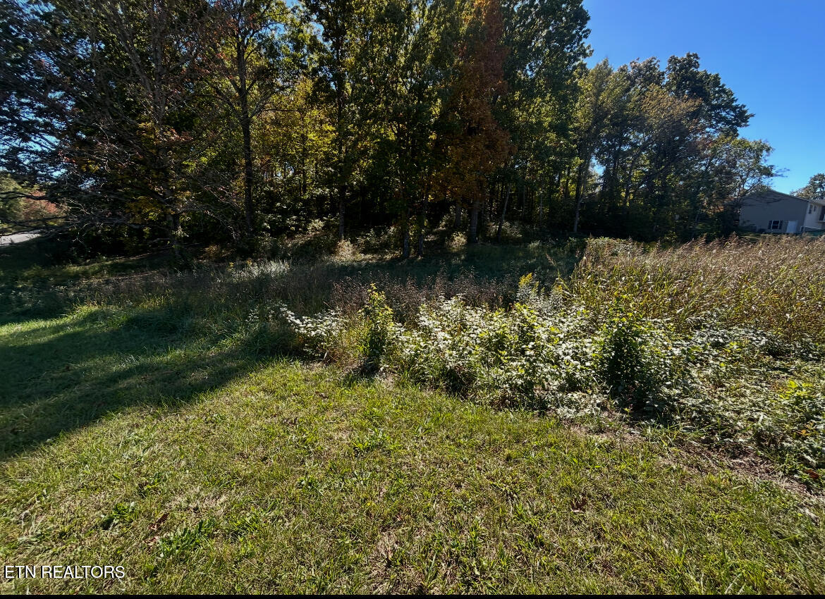 Lot 1 Cherokee Cove Rutledge TN 37861