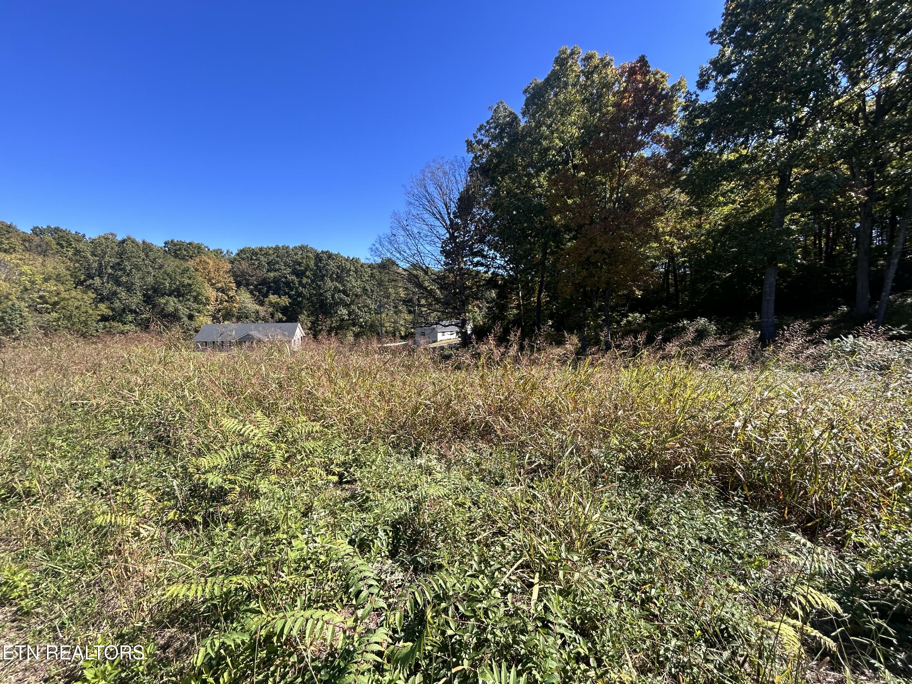 Lot 1 Cherokee Cove Rutledge TN 37861