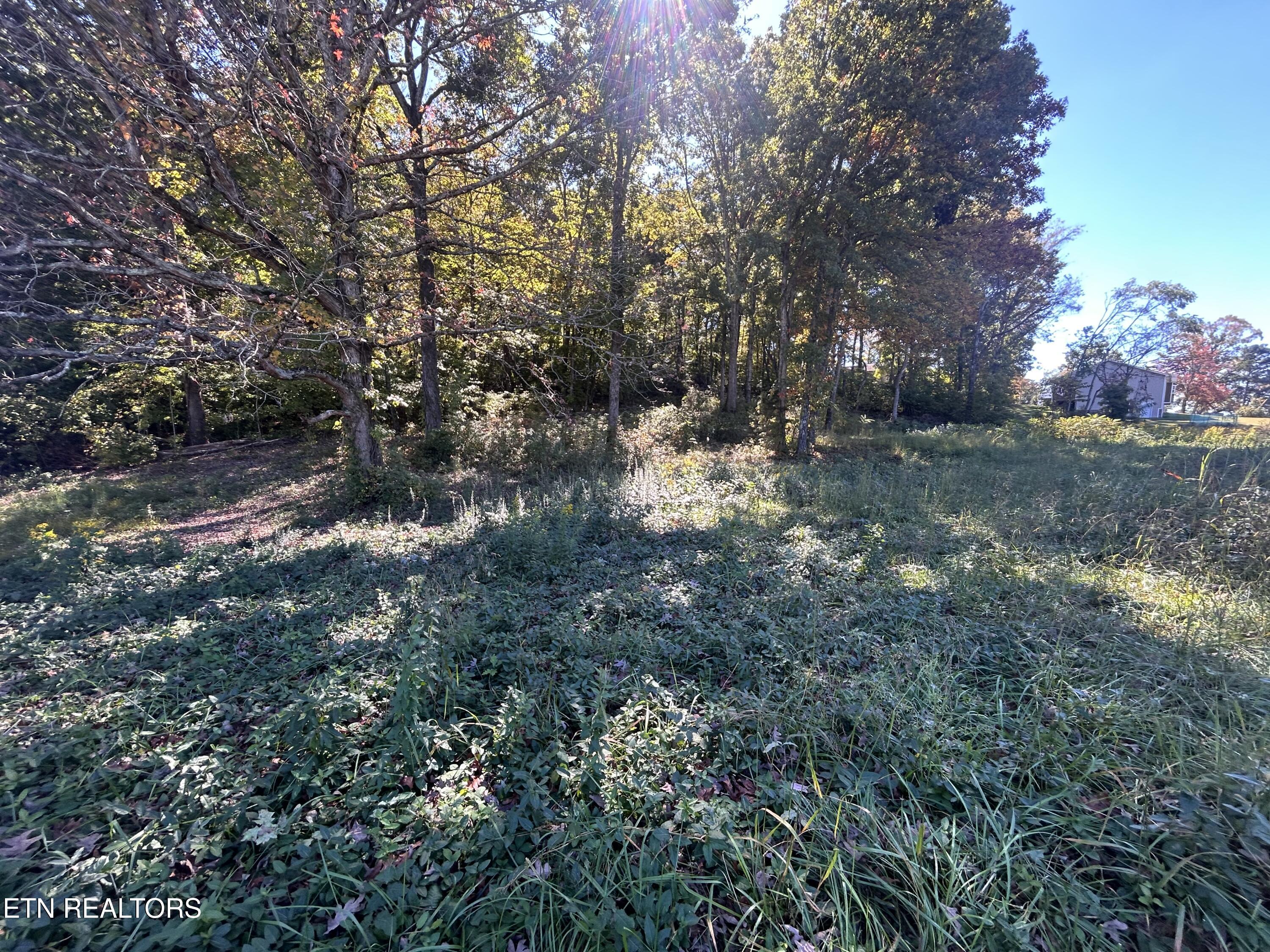 Lot 1 Cherokee Cove Rutledge TN 37861