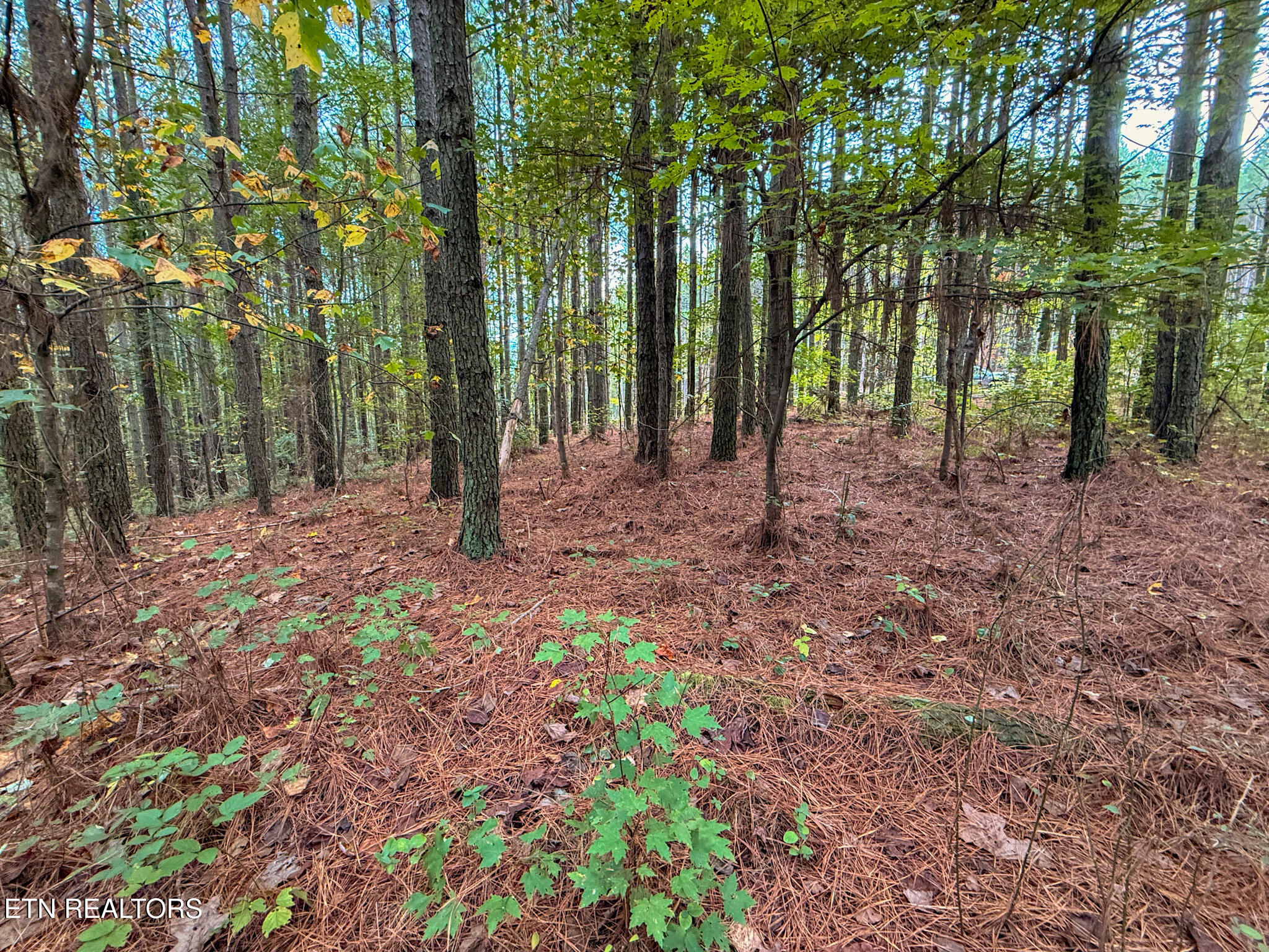 Lot 10, 11, & 13 Airport Road Rockwood TN 37854