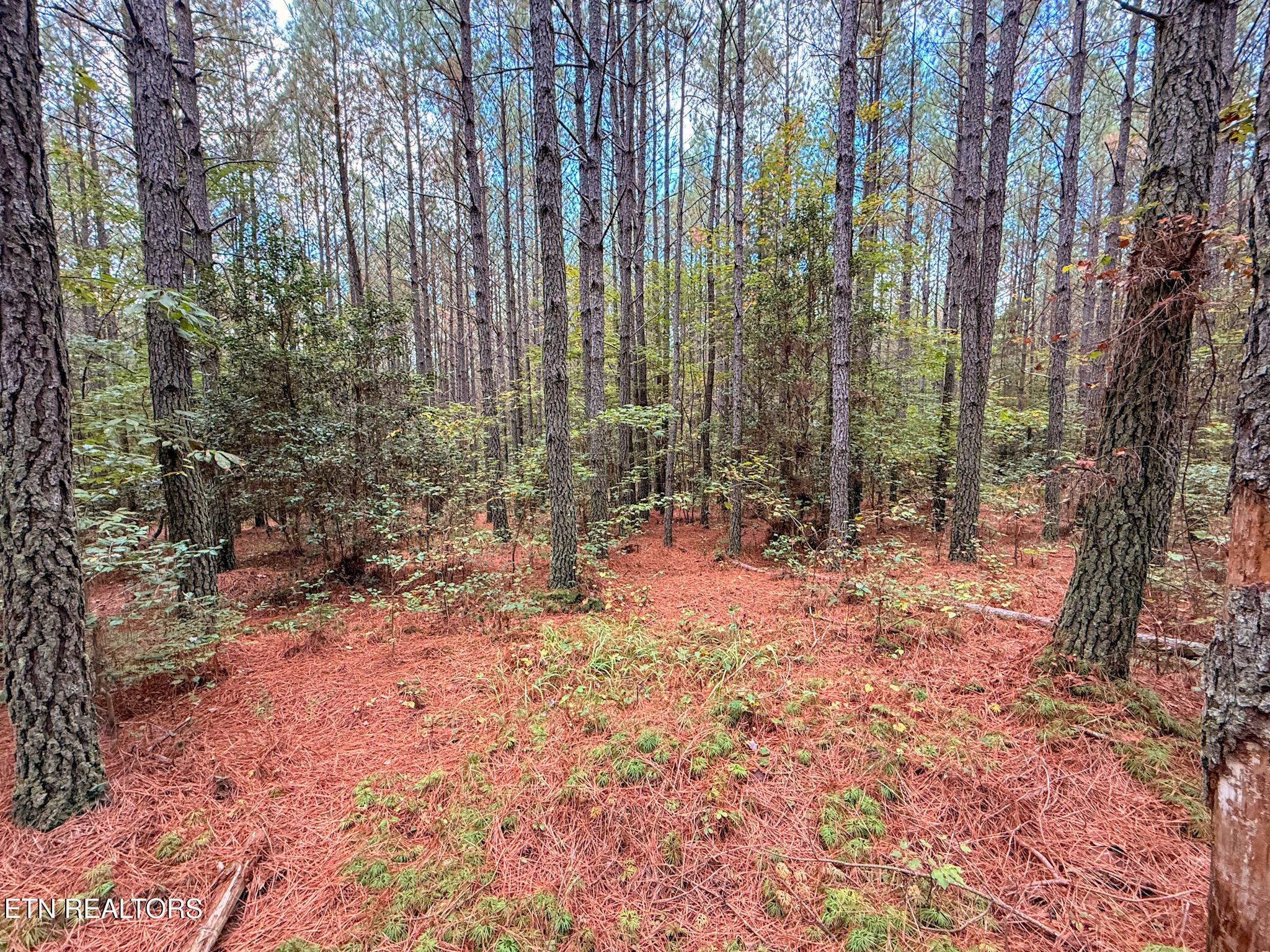 Lot 10, 11, & 13 Airport Road Rockwood TN 37854
