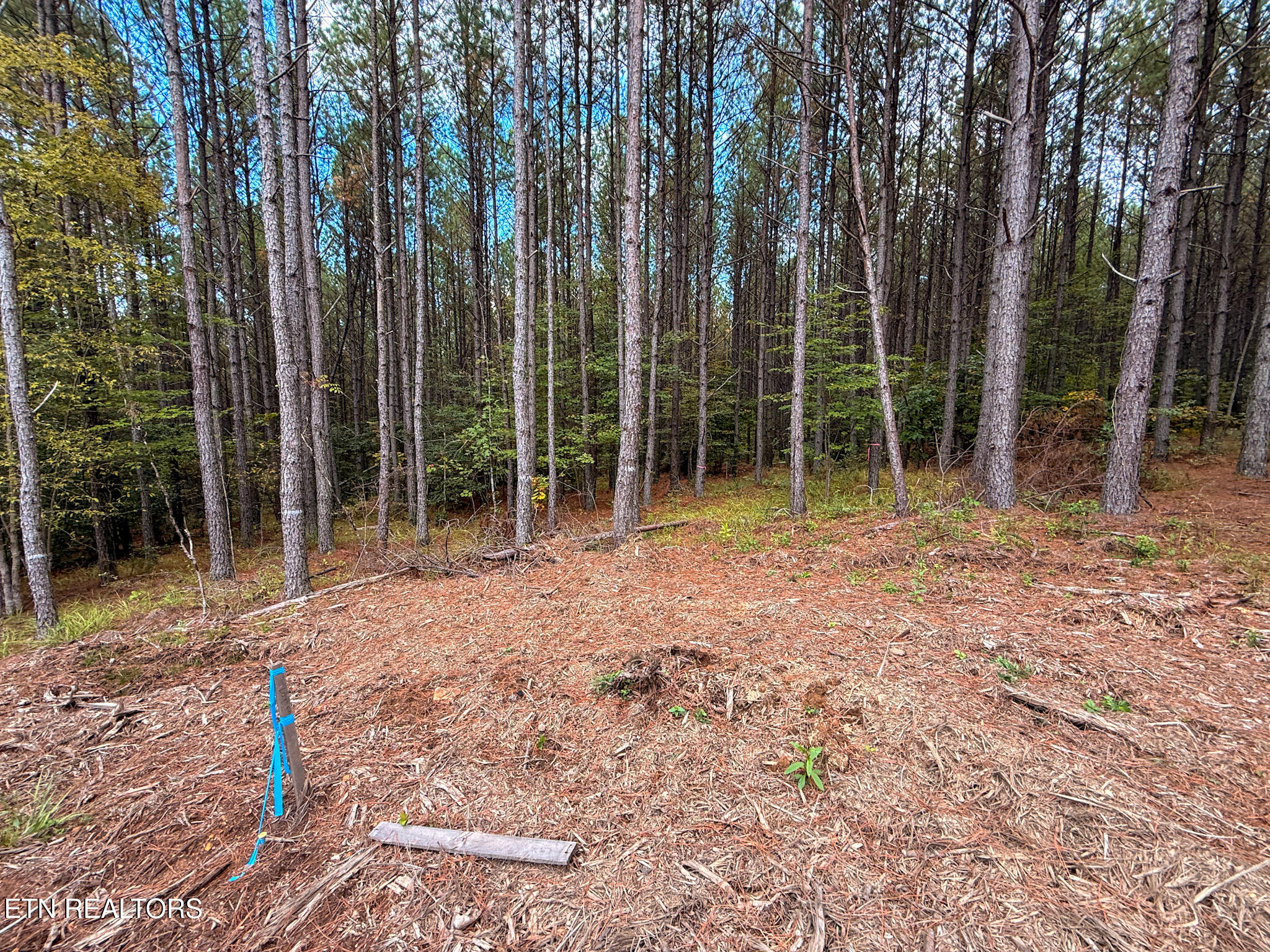 Lot 10, 11, & 13 Airport Road Rockwood TN 37854