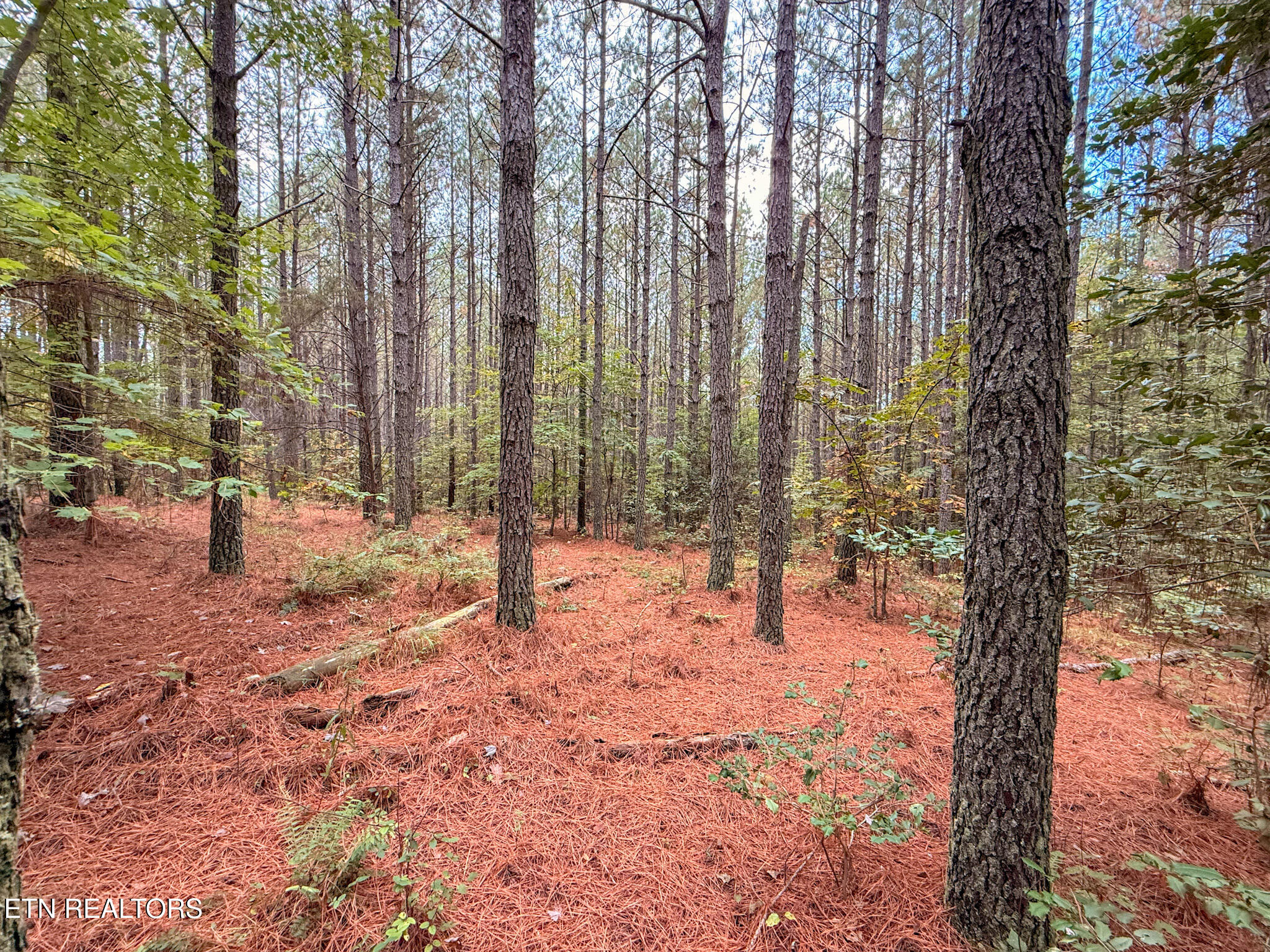 Lot 10, 11, & 13 Airport Road Rockwood TN 37854