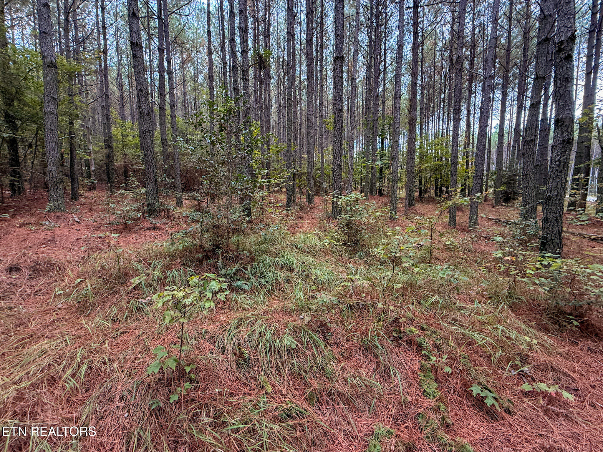 Lot 10, 11, & 13 Airport Road Rockwood TN 37854
