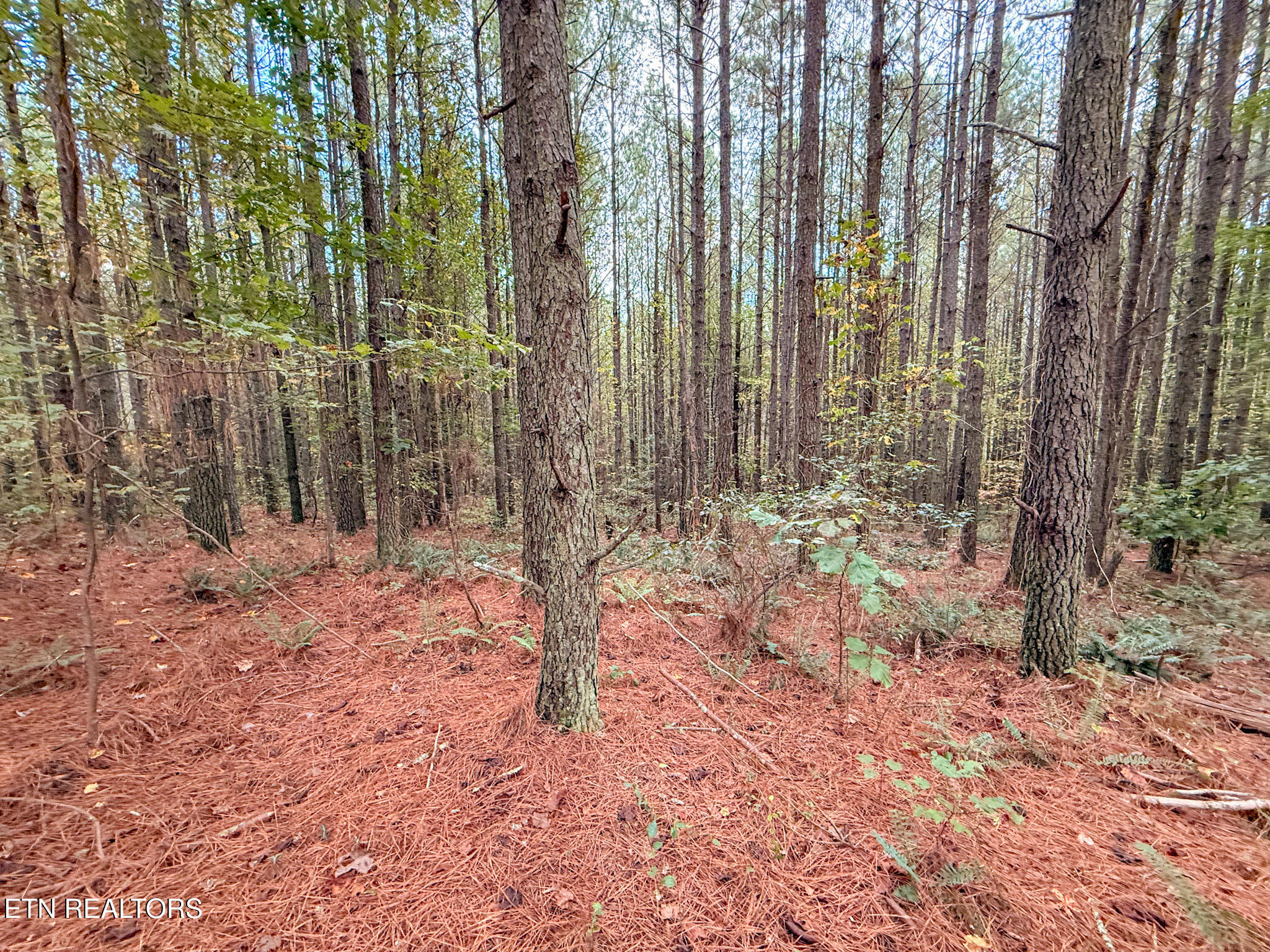 Lot 10, 11, & 13 Airport Road Rockwood TN 37854