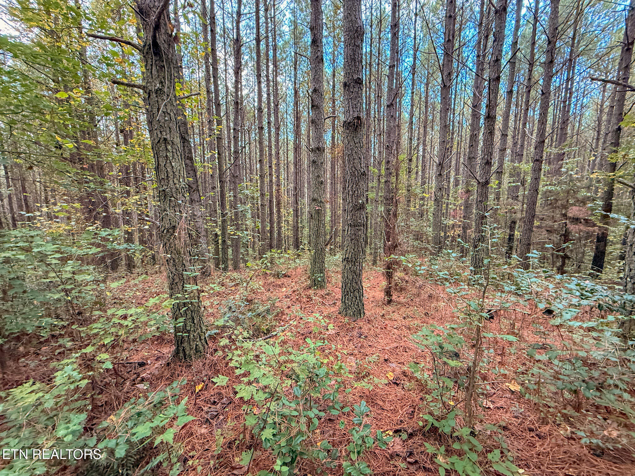 Lot 10, 11, & 13 Airport Road Rockwood TN 37854