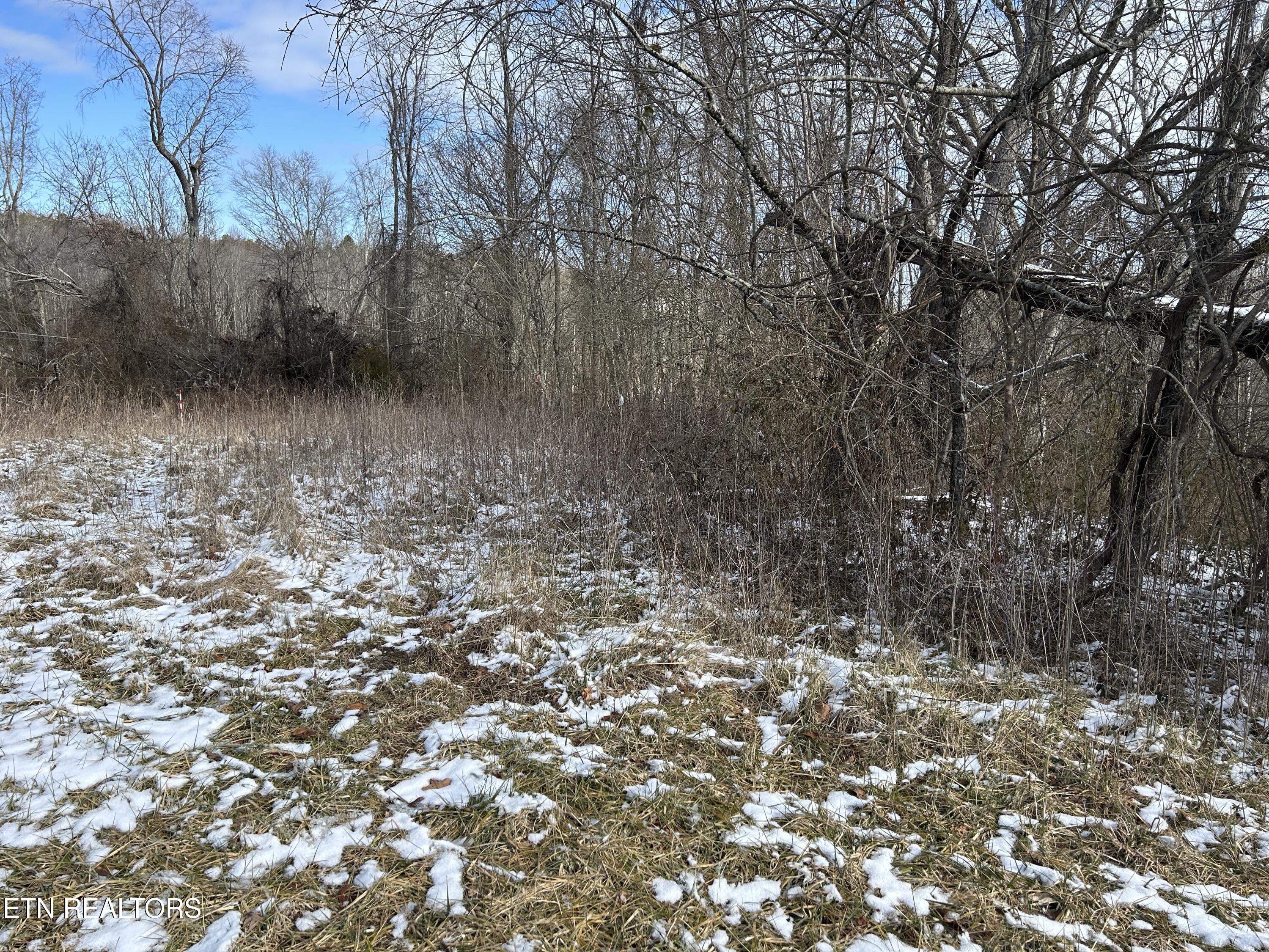 Chapman Road Jamestown TN 38556
