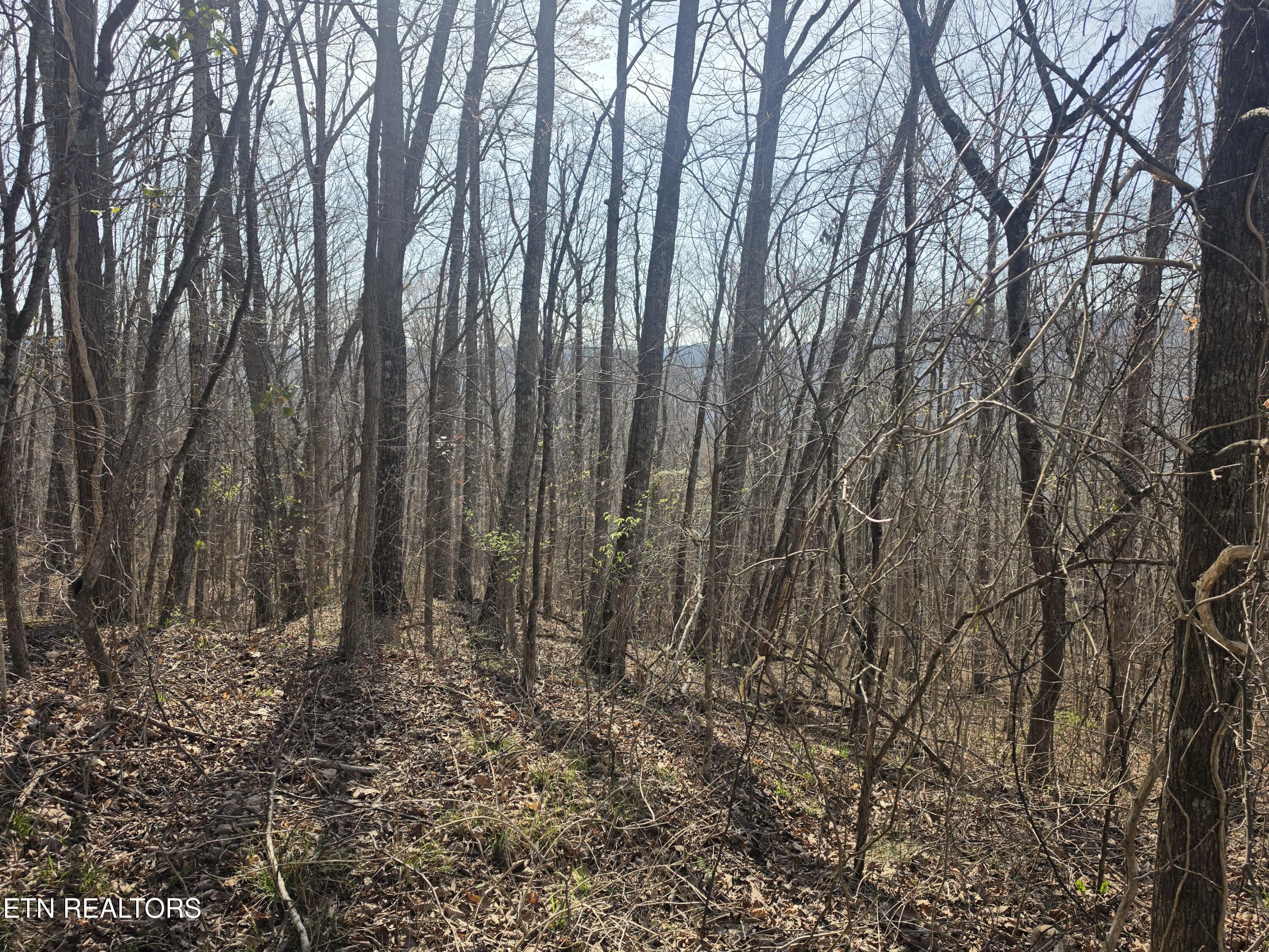 Glenoby Road Jamestown TN 38556