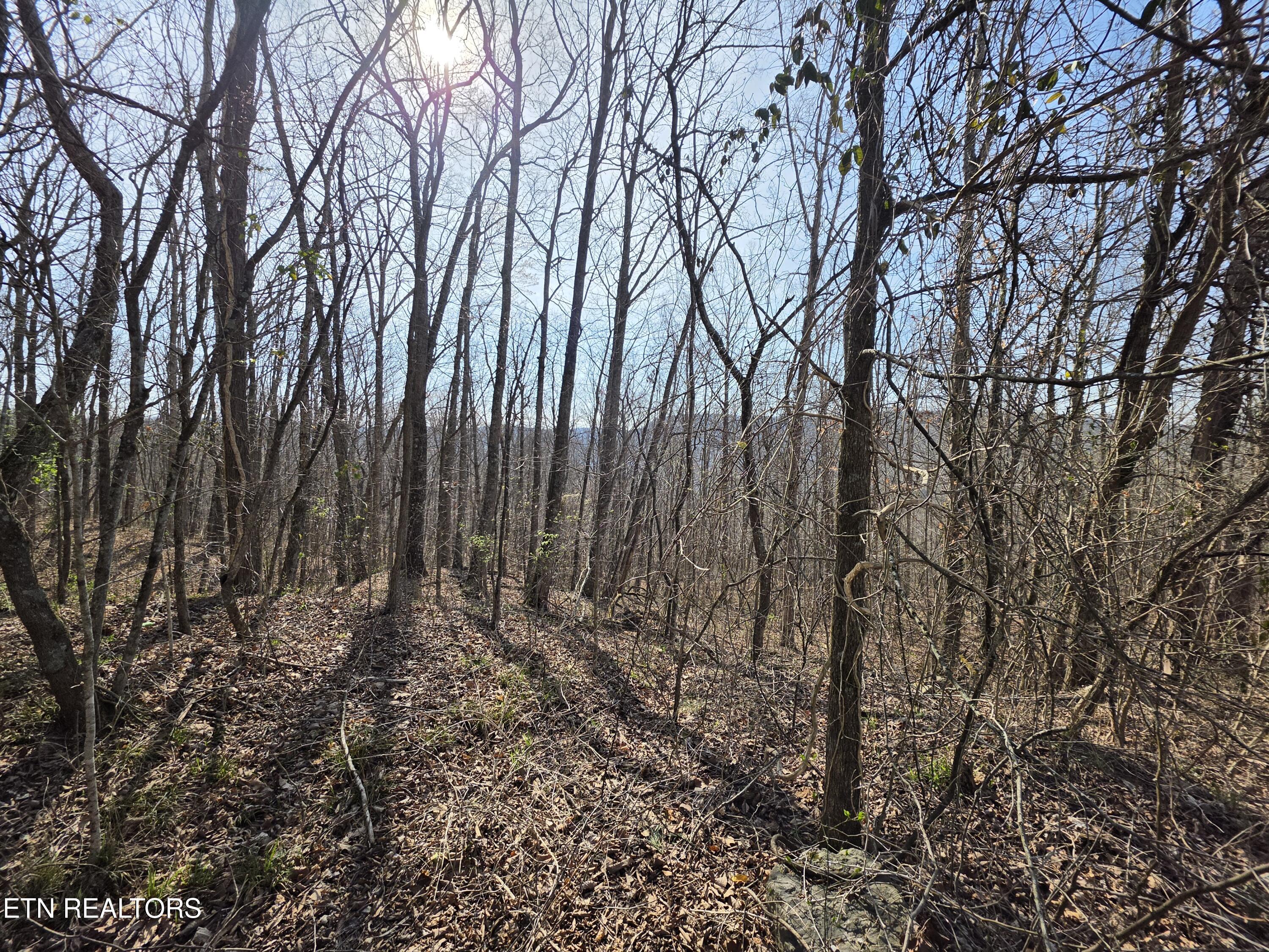 Glenoby Road Jamestown TN 38556