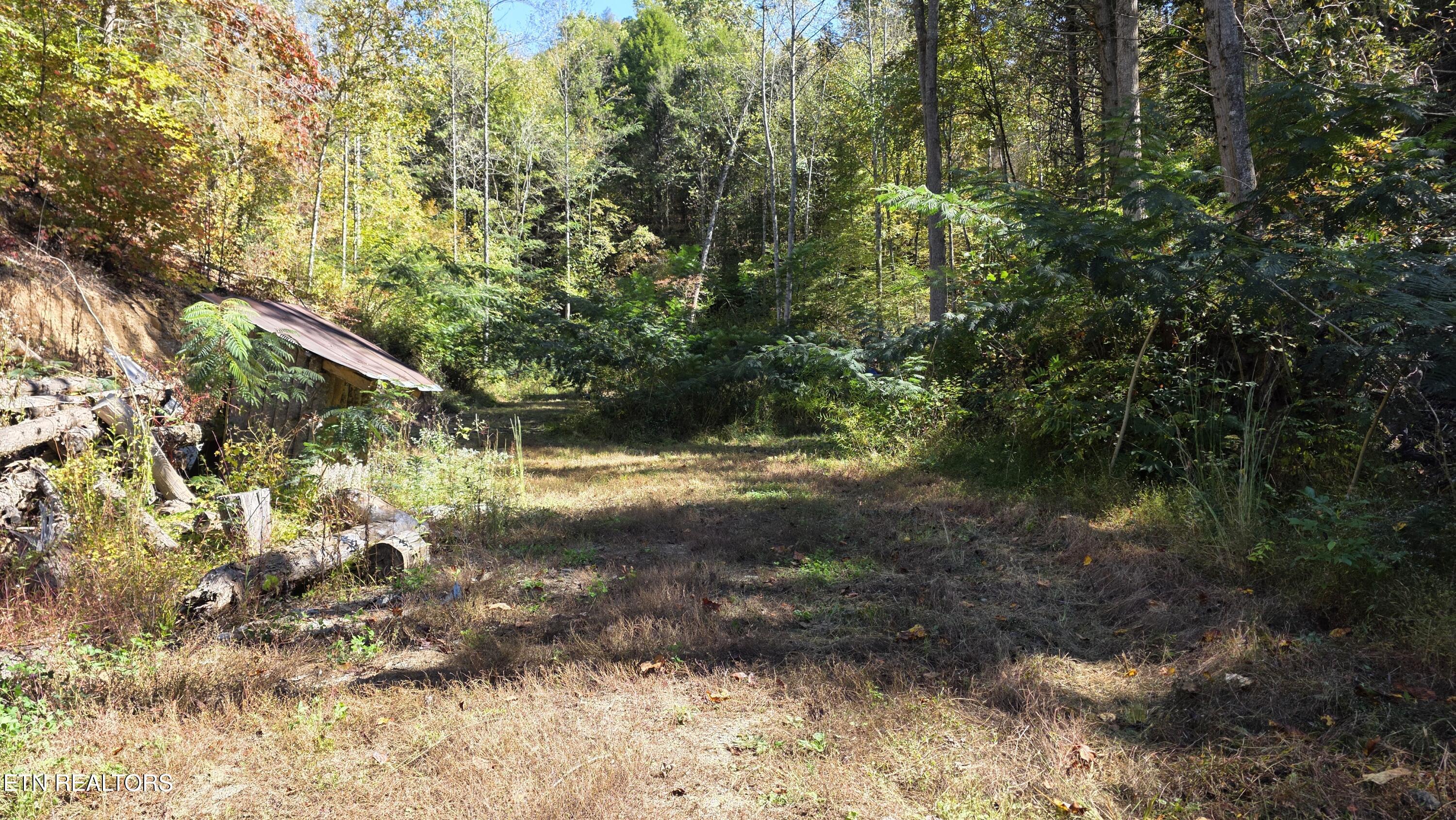 1876 Upper Middle Creek Road Sevierville TN 37876