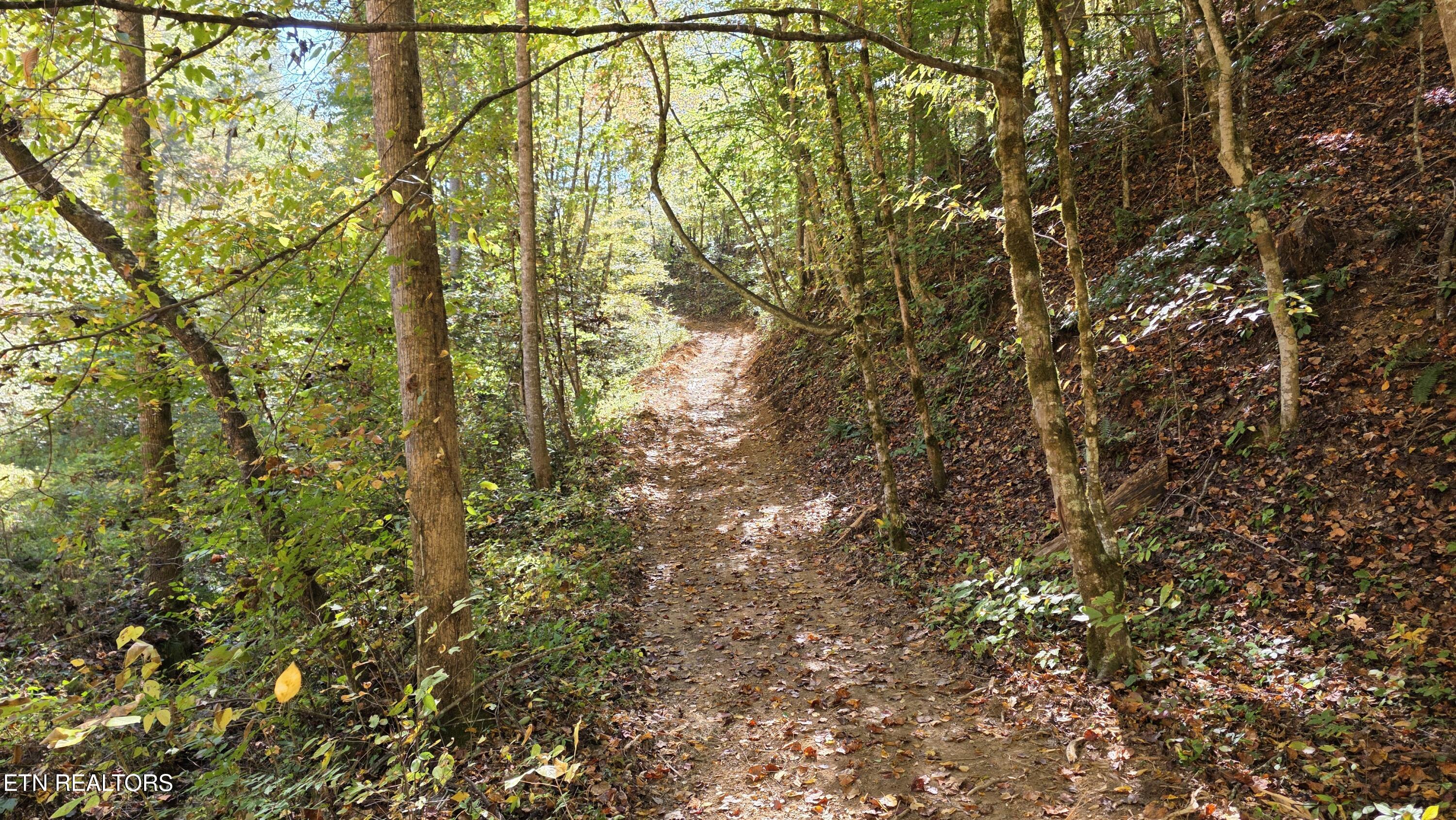 1876 Upper Middle Creek Road Sevierville TN 37876