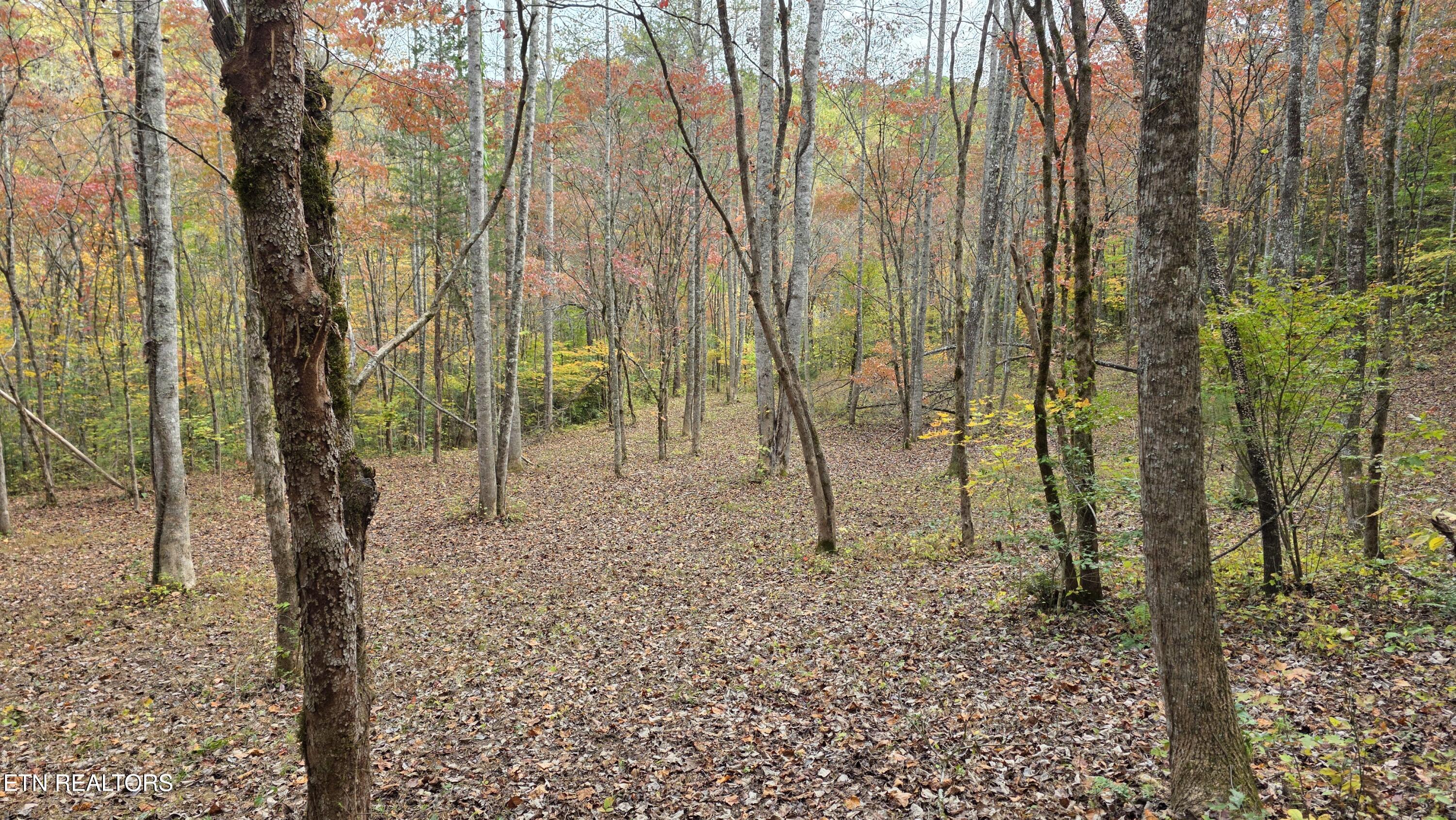 1876 Upper Middle Creek Road Sevierville TN 37876