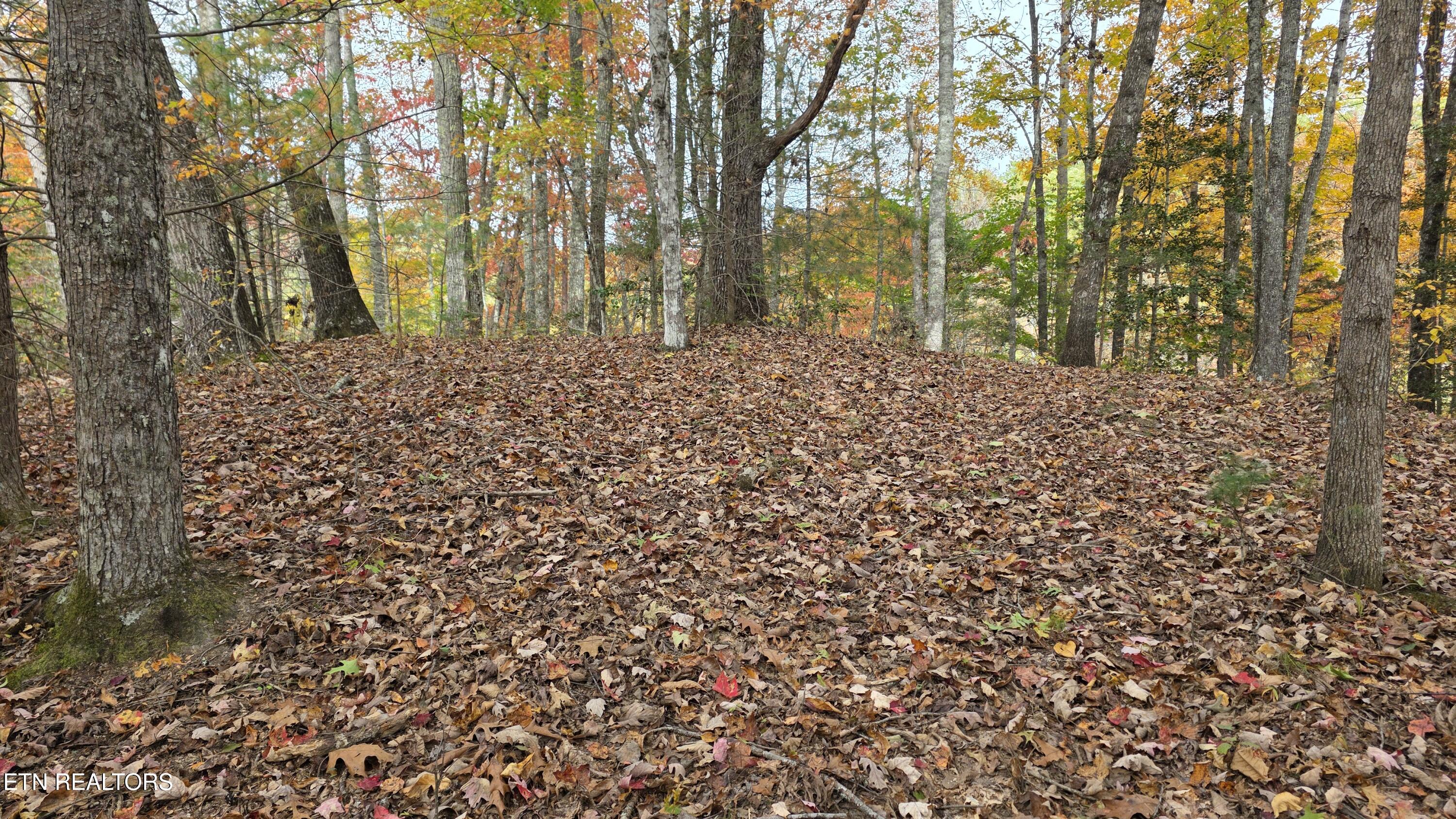 1876 Upper Middle Creek Road Sevierville TN 37876
