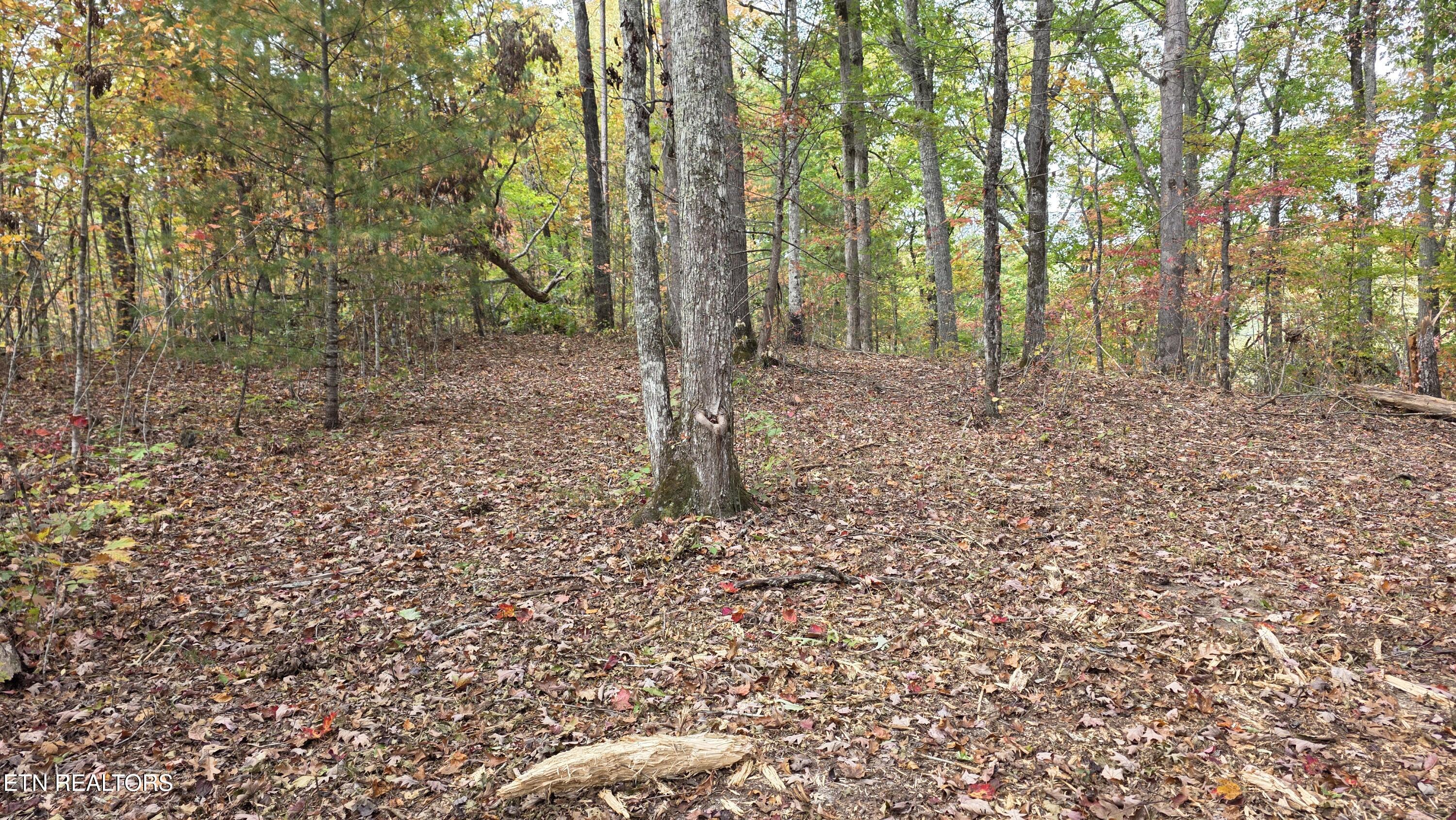 1876 Upper Middle Creek Road Sevierville TN 37876