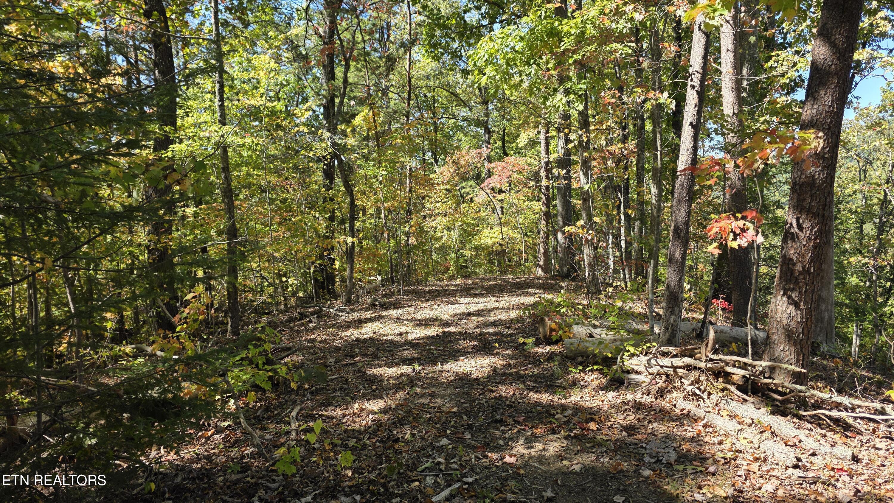 1876 Upper Middle Creek Road Sevierville TN 37876