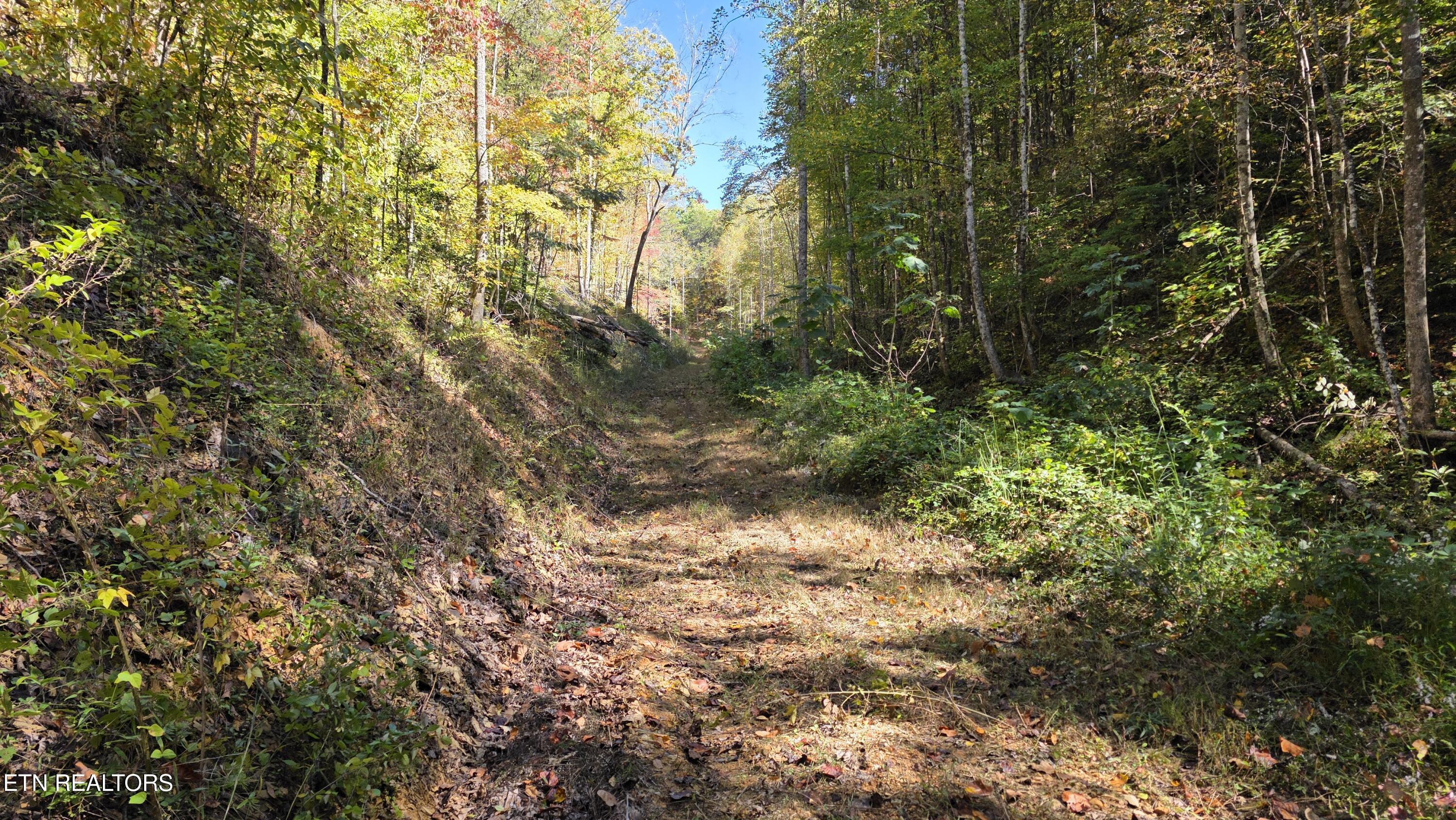 1876 Upper Middle Creek Road Sevierville TN 37876